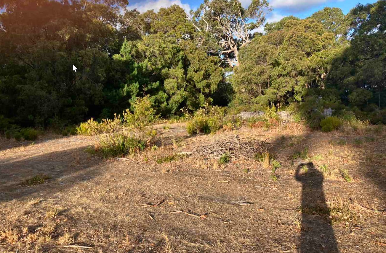 Picture of the site