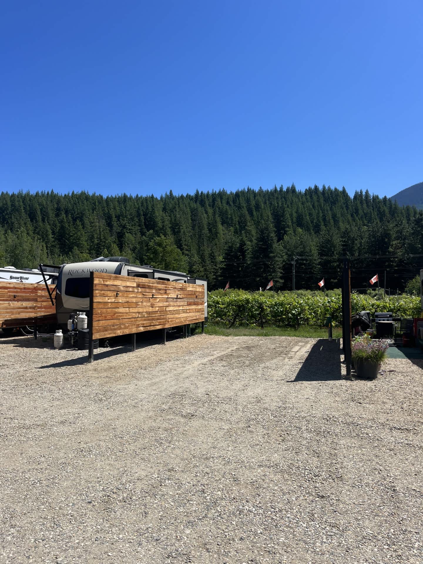 Picture of the site