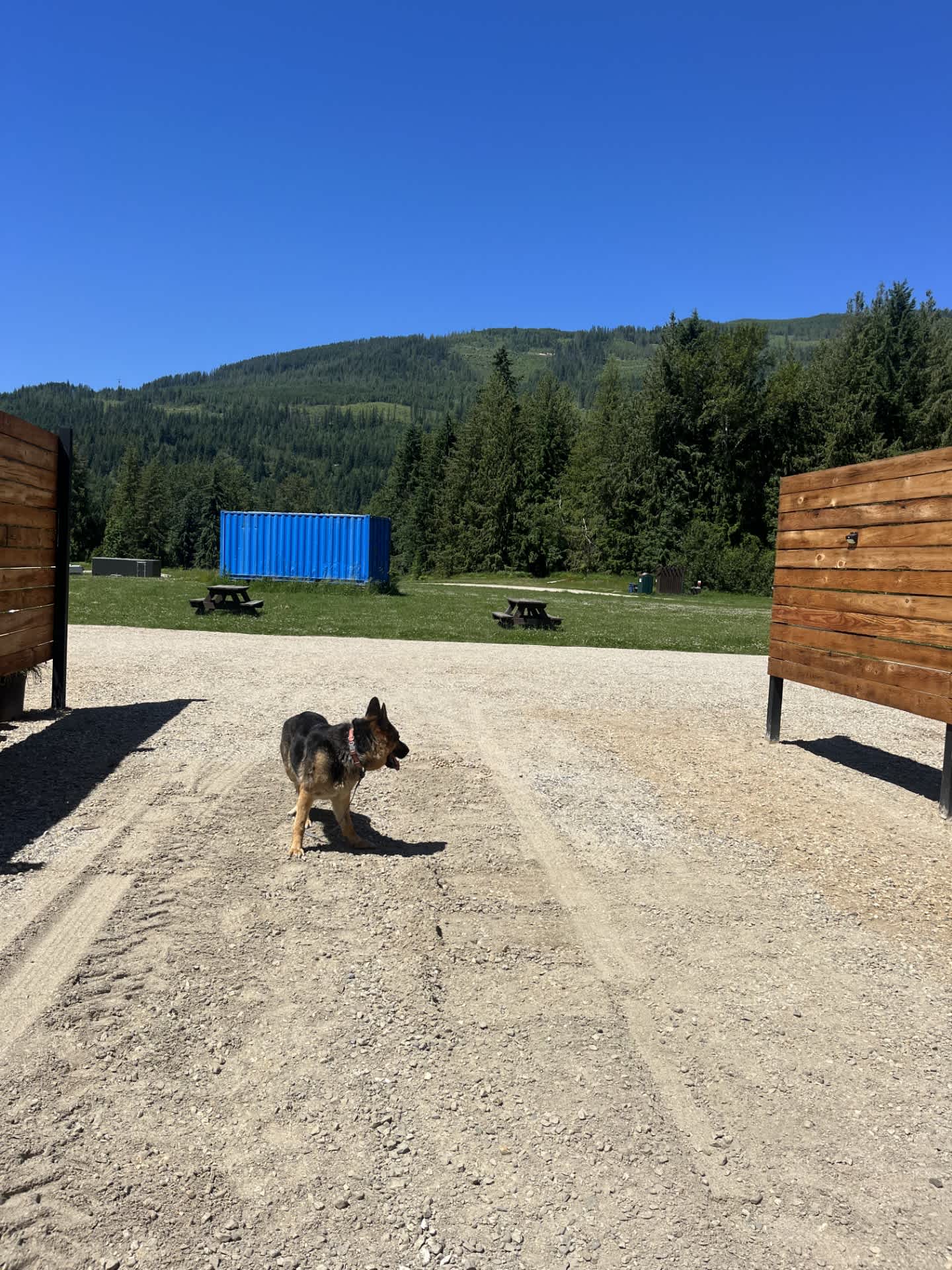 Picture of the site