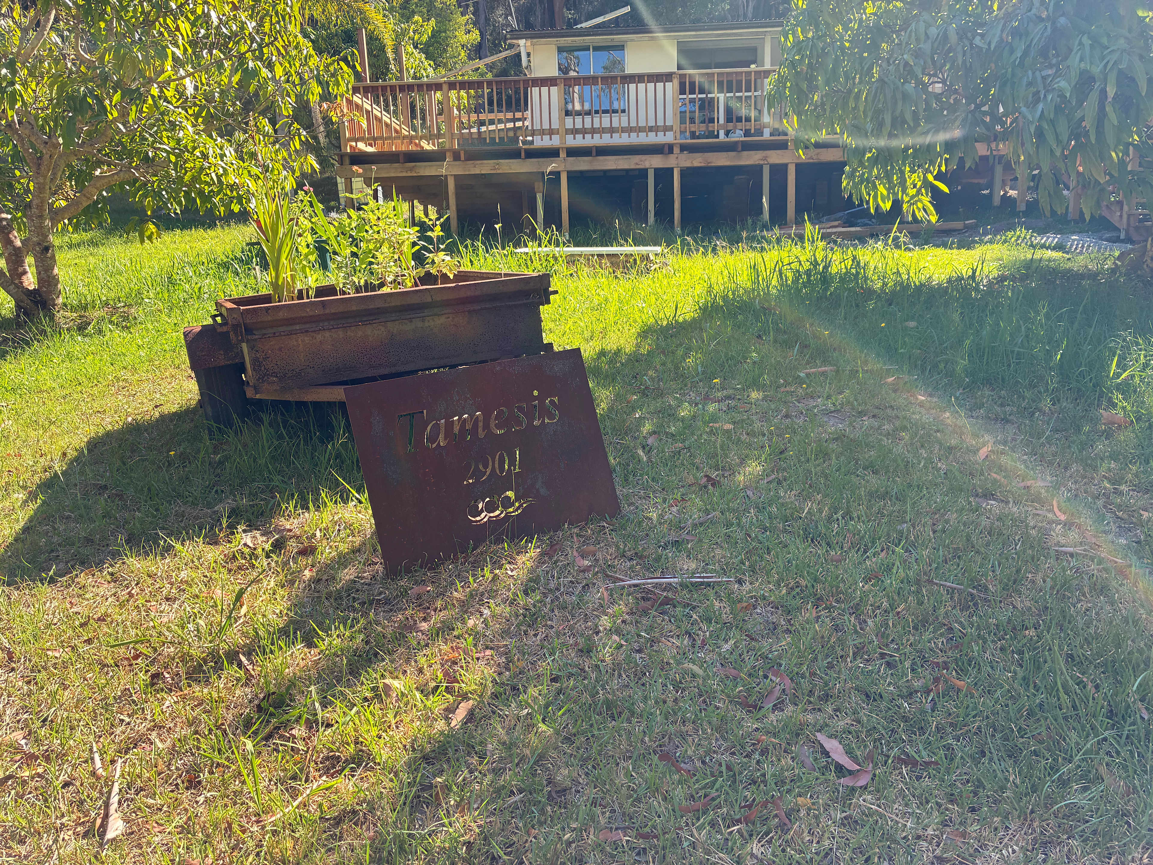 Picture of the site