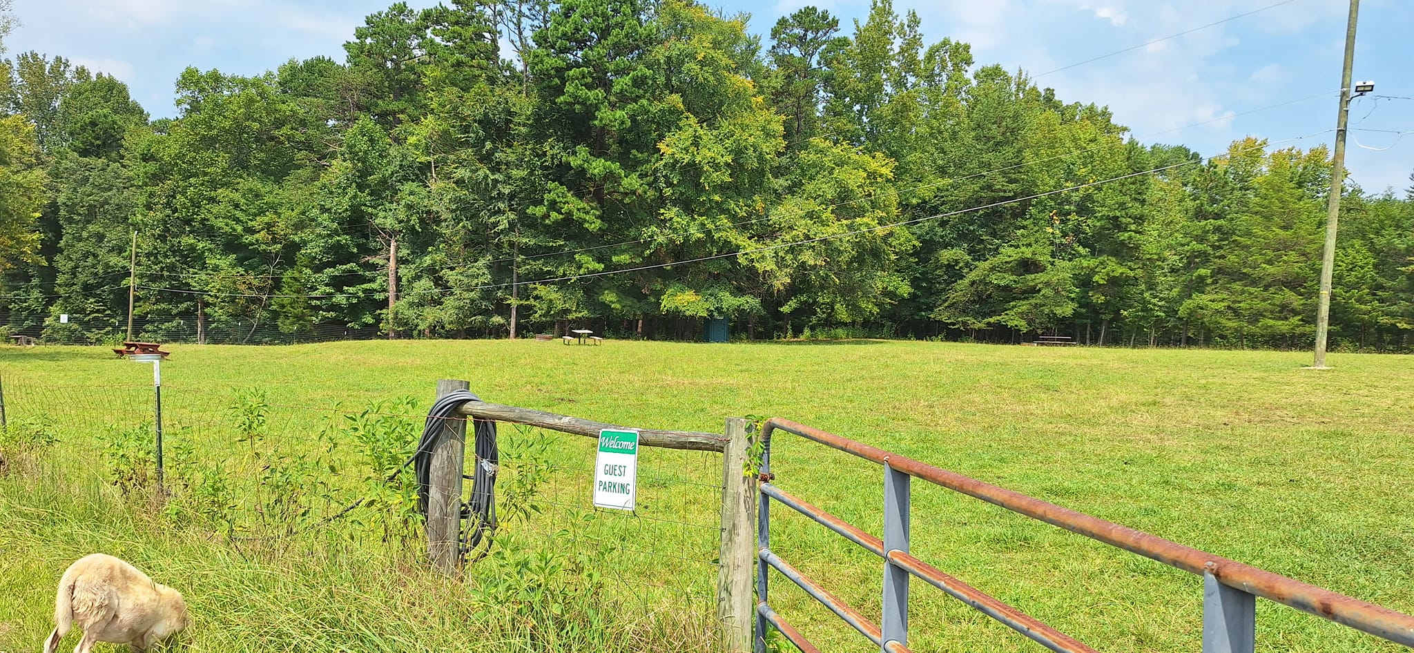 Picture of the site
