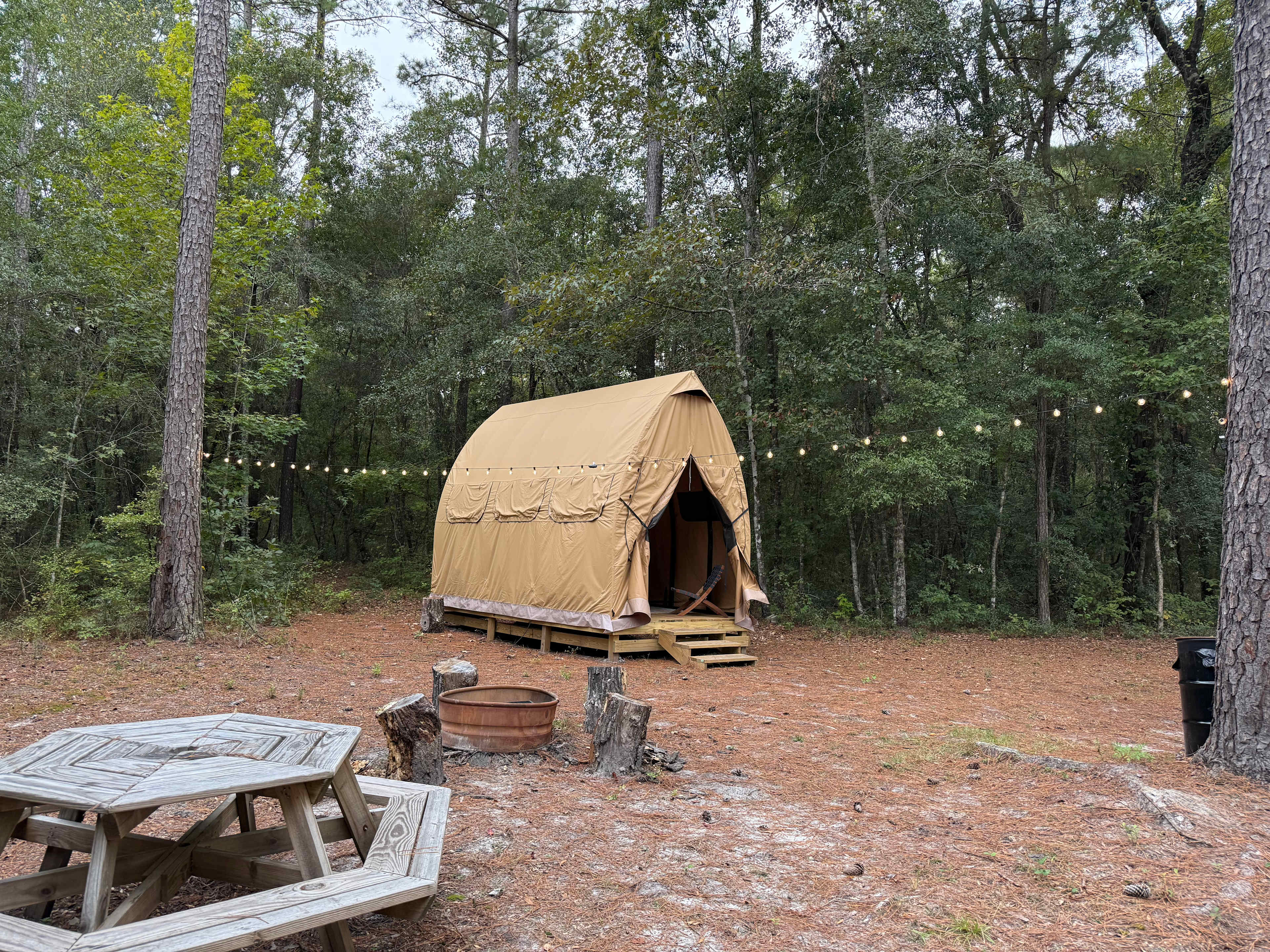 Picture of the site