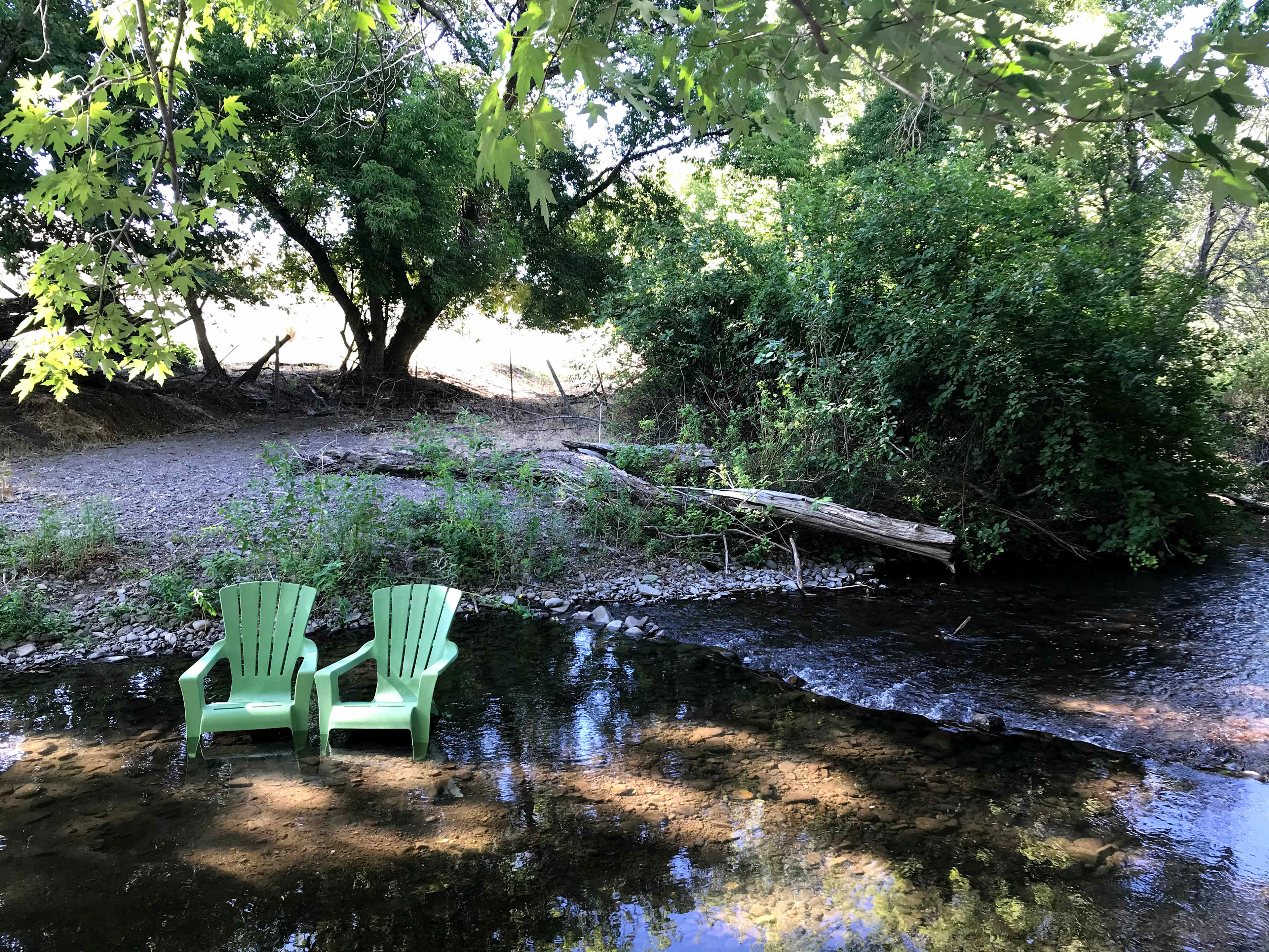 Picture of the site