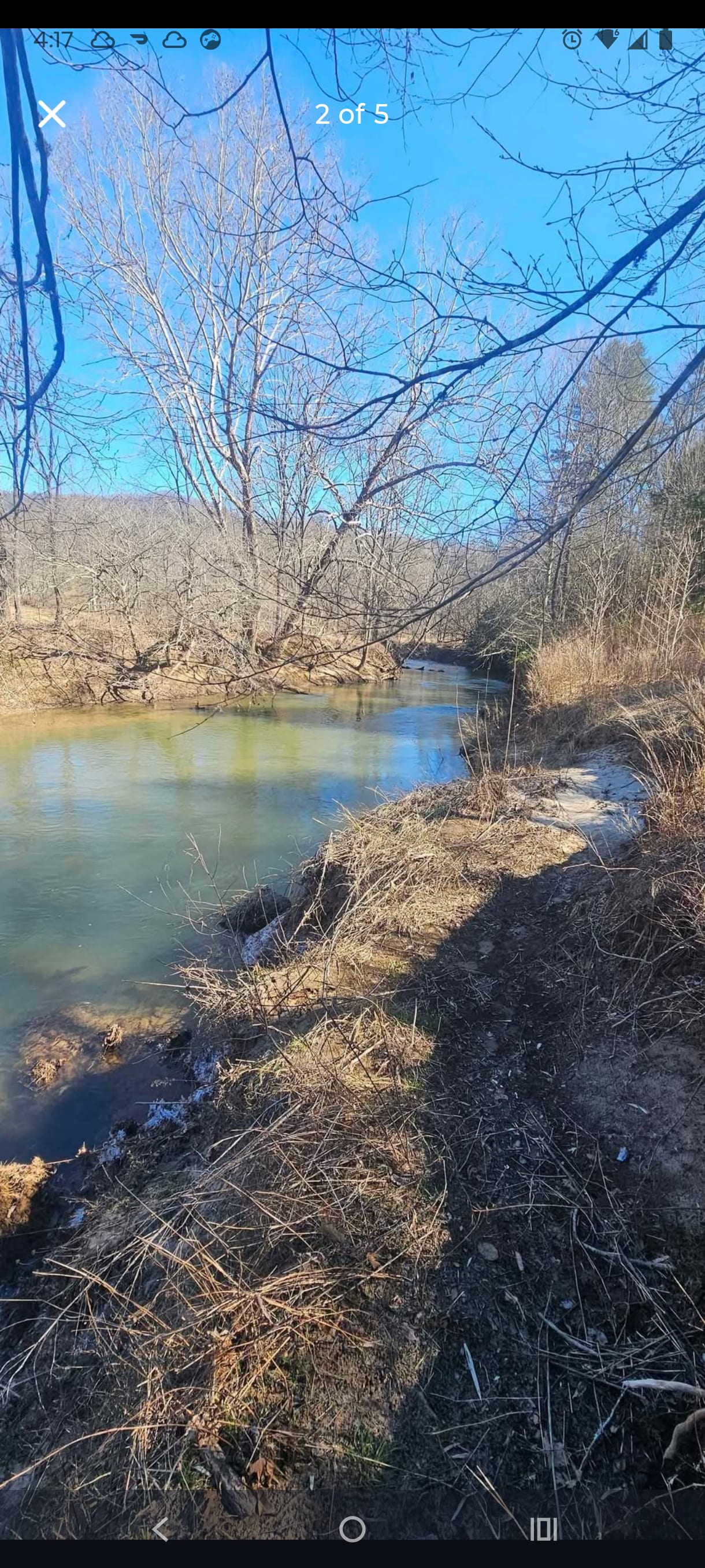 Picture of the site