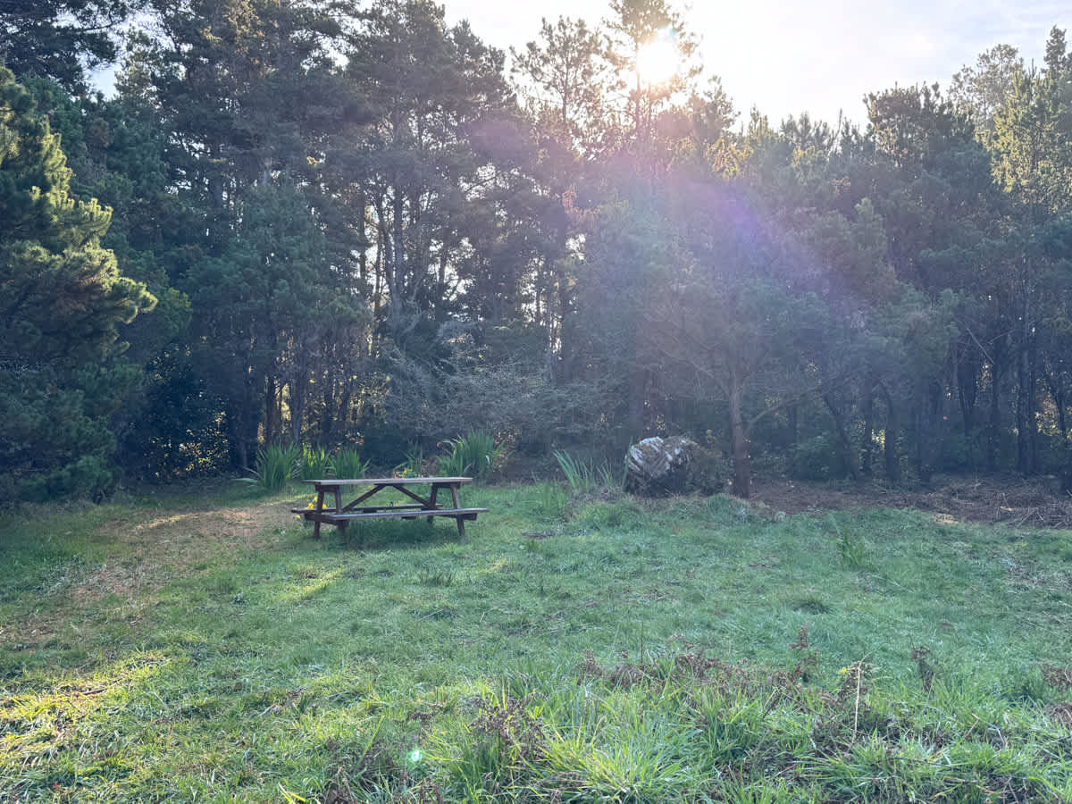 Picture of the site