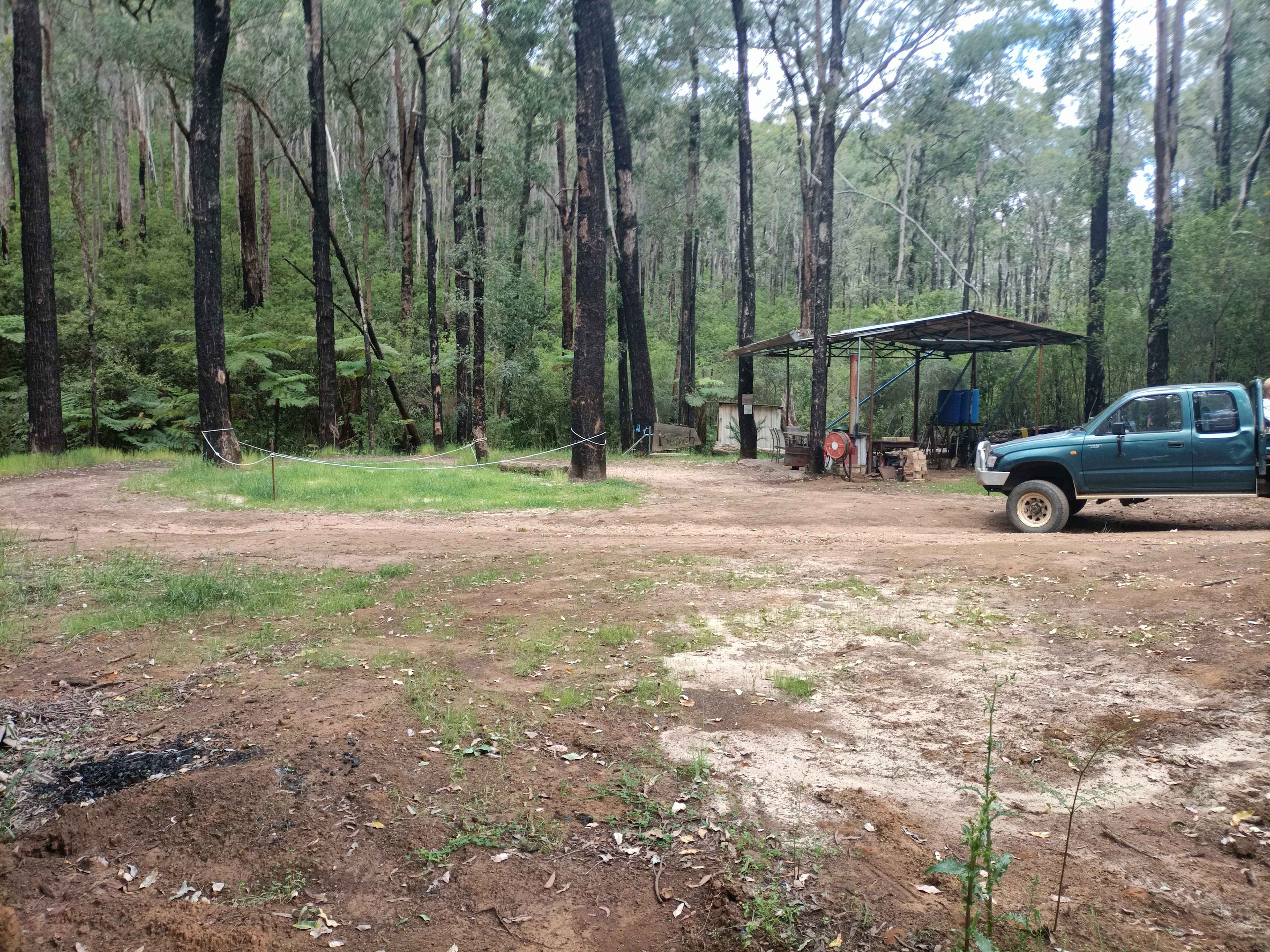 Picture of the site