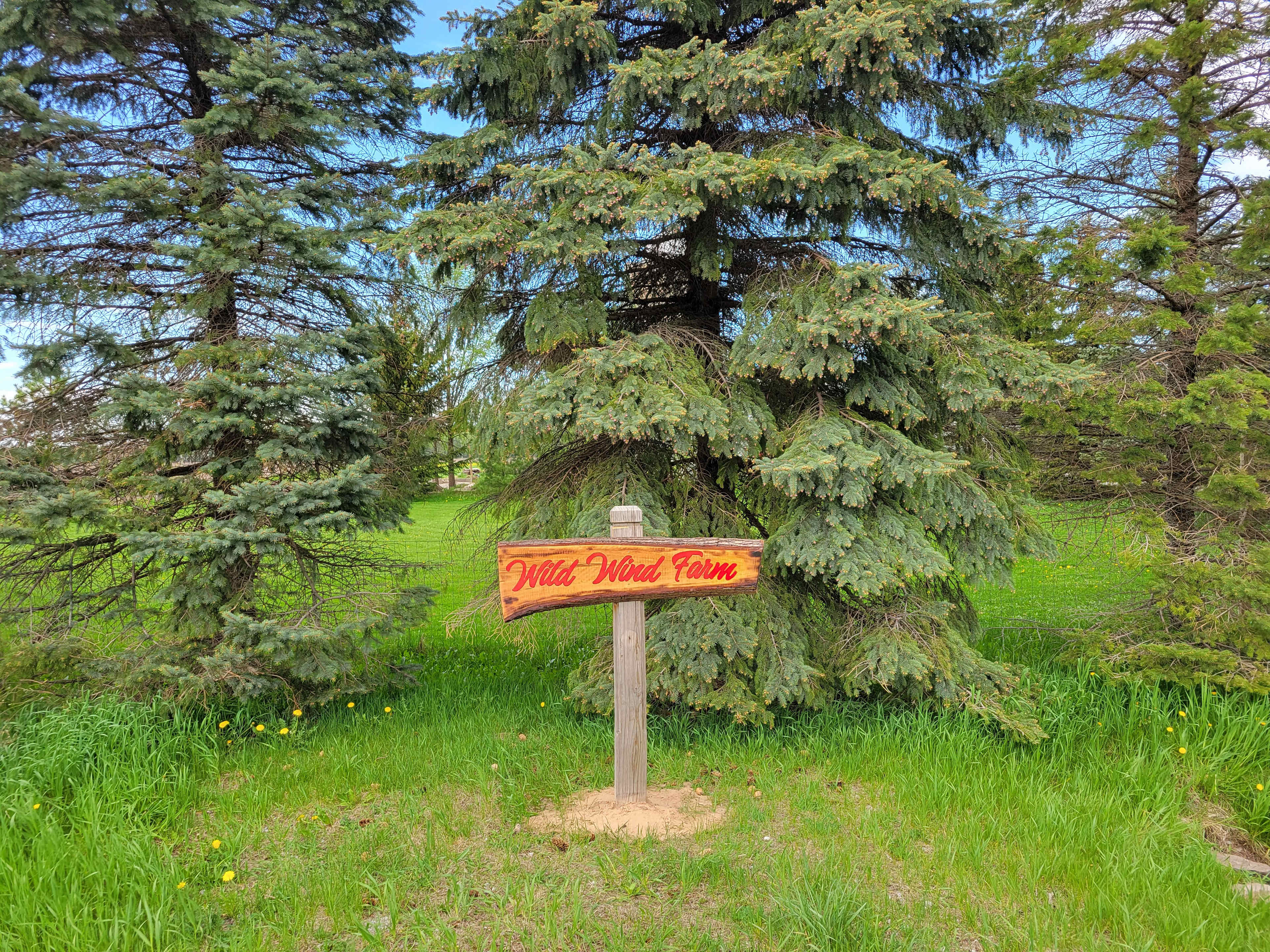 Picture of the site