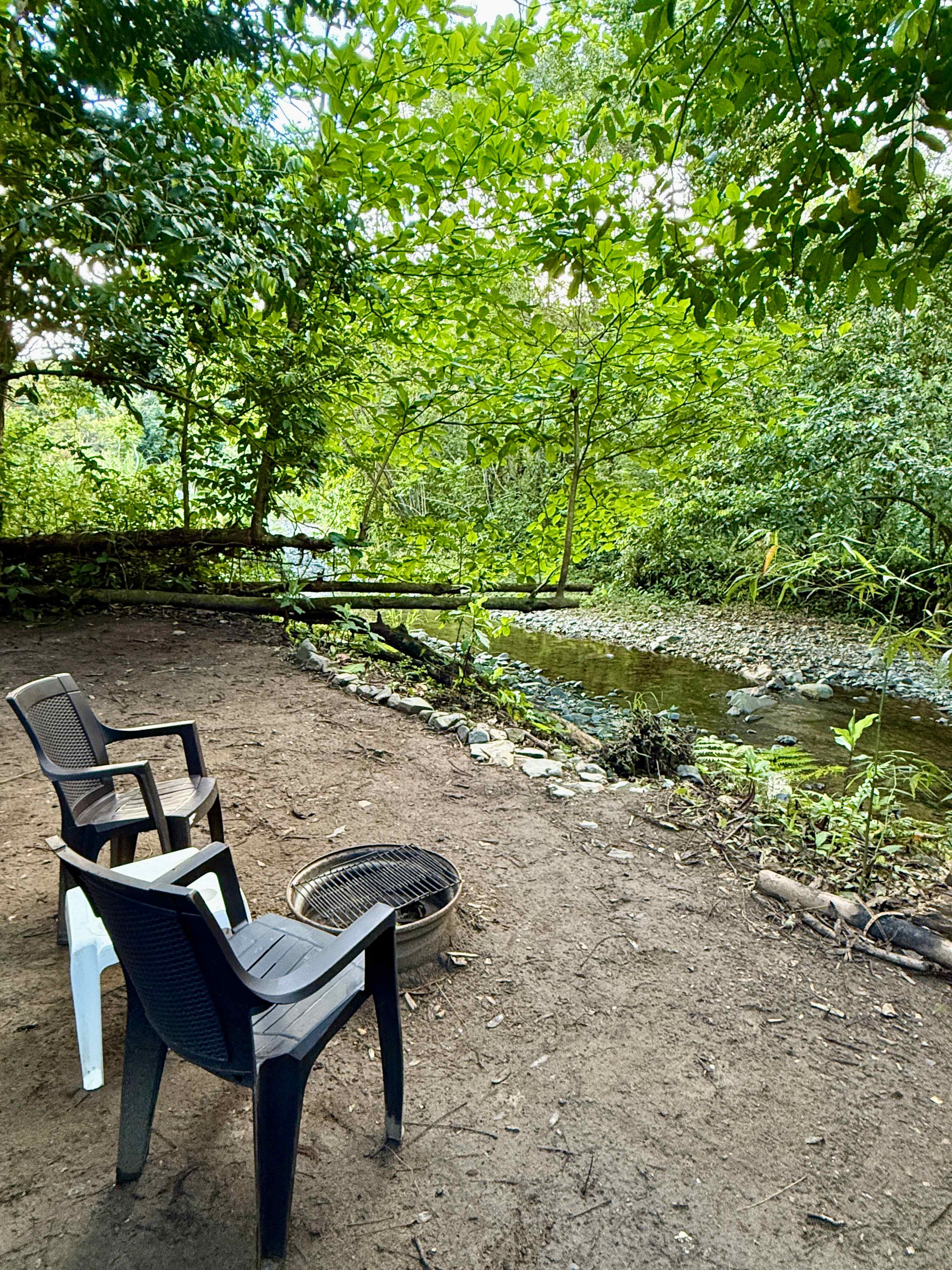 Picture of the site