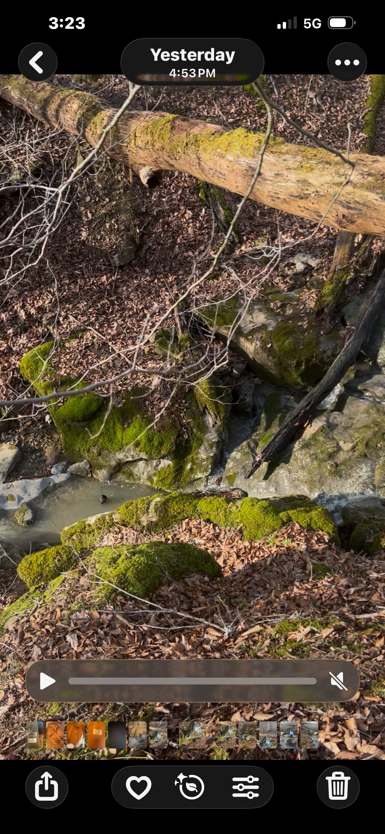 Picture of the site