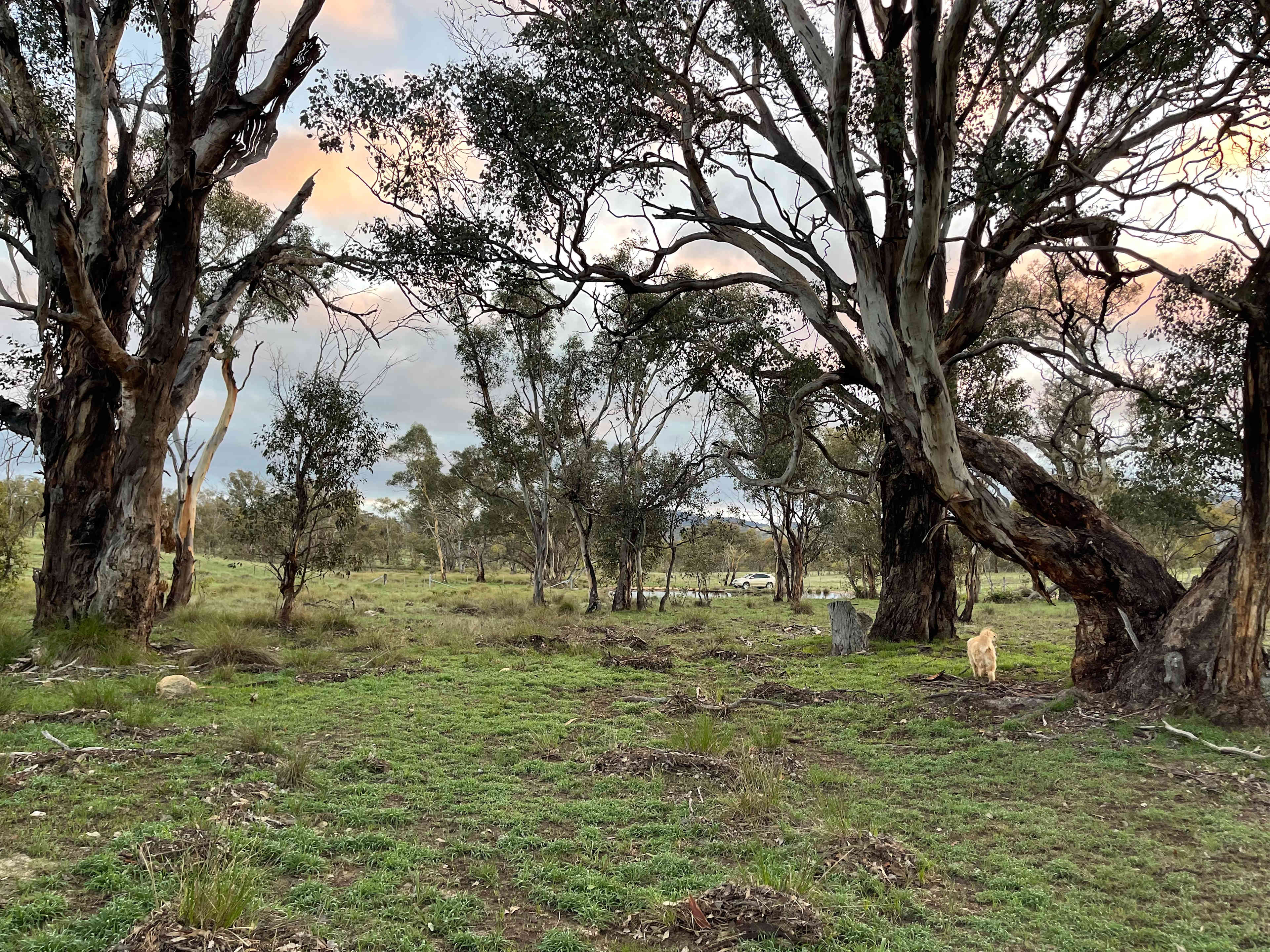 Picture of the site