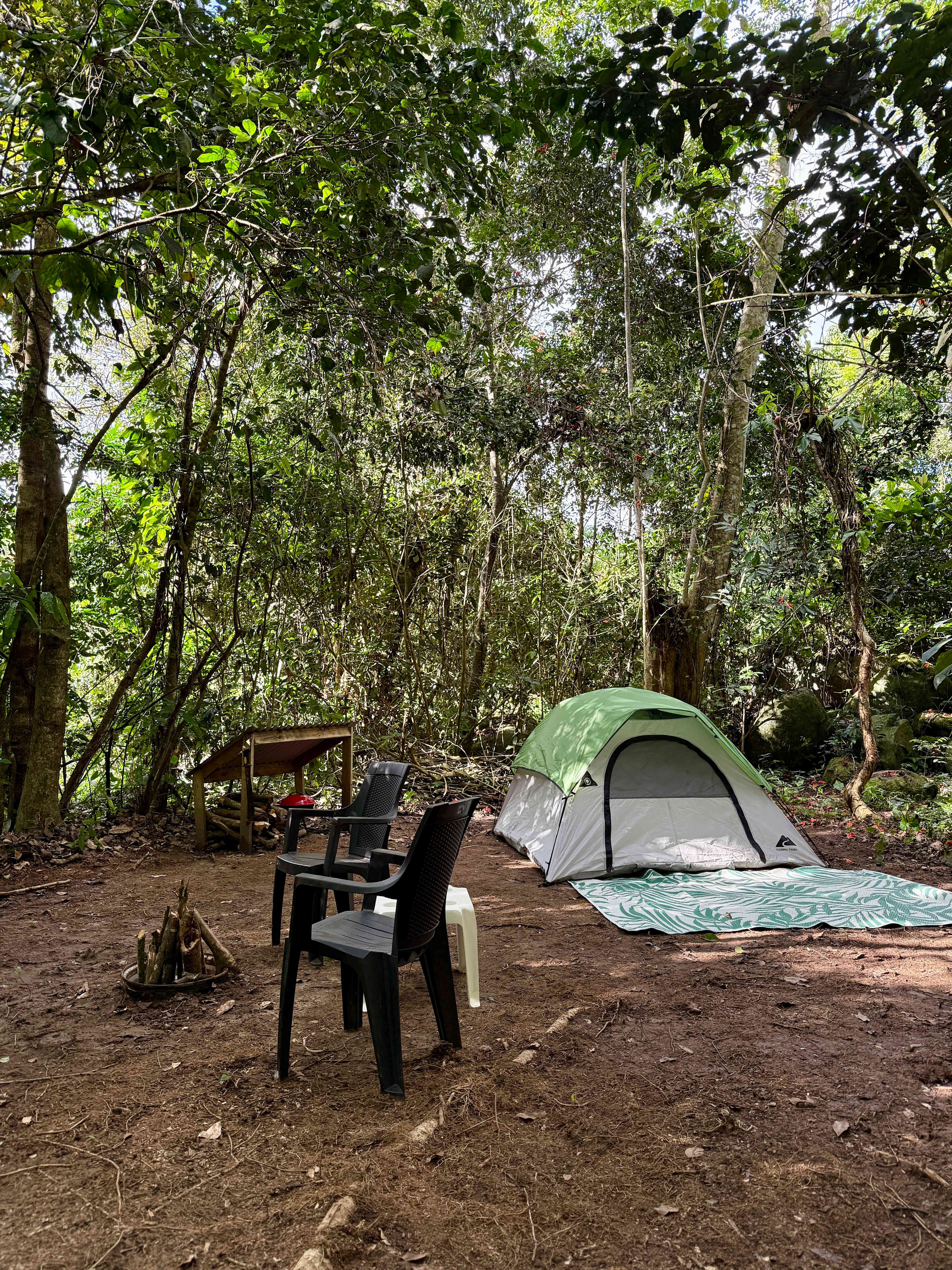 Picture of the site