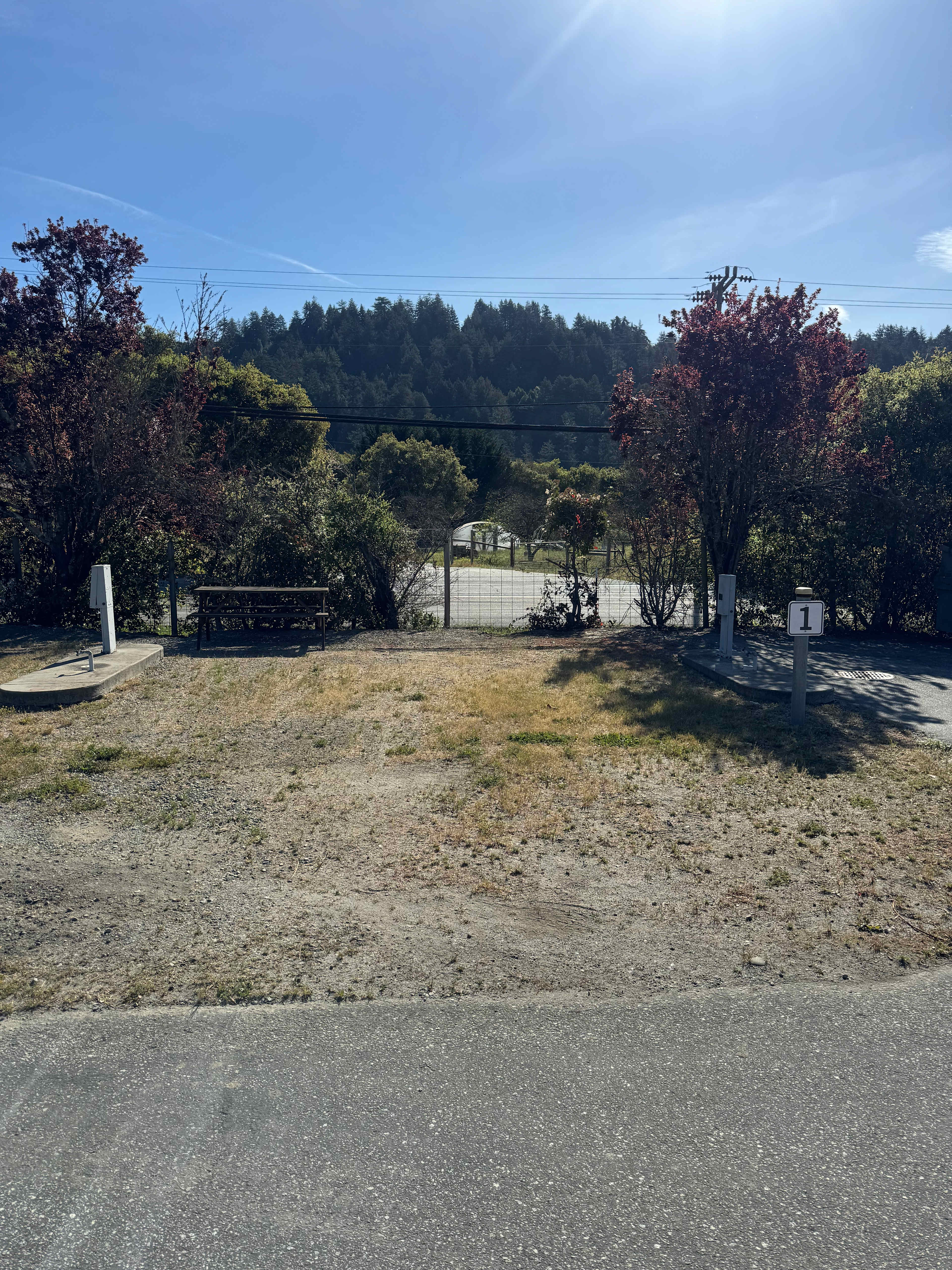 Picture of the site