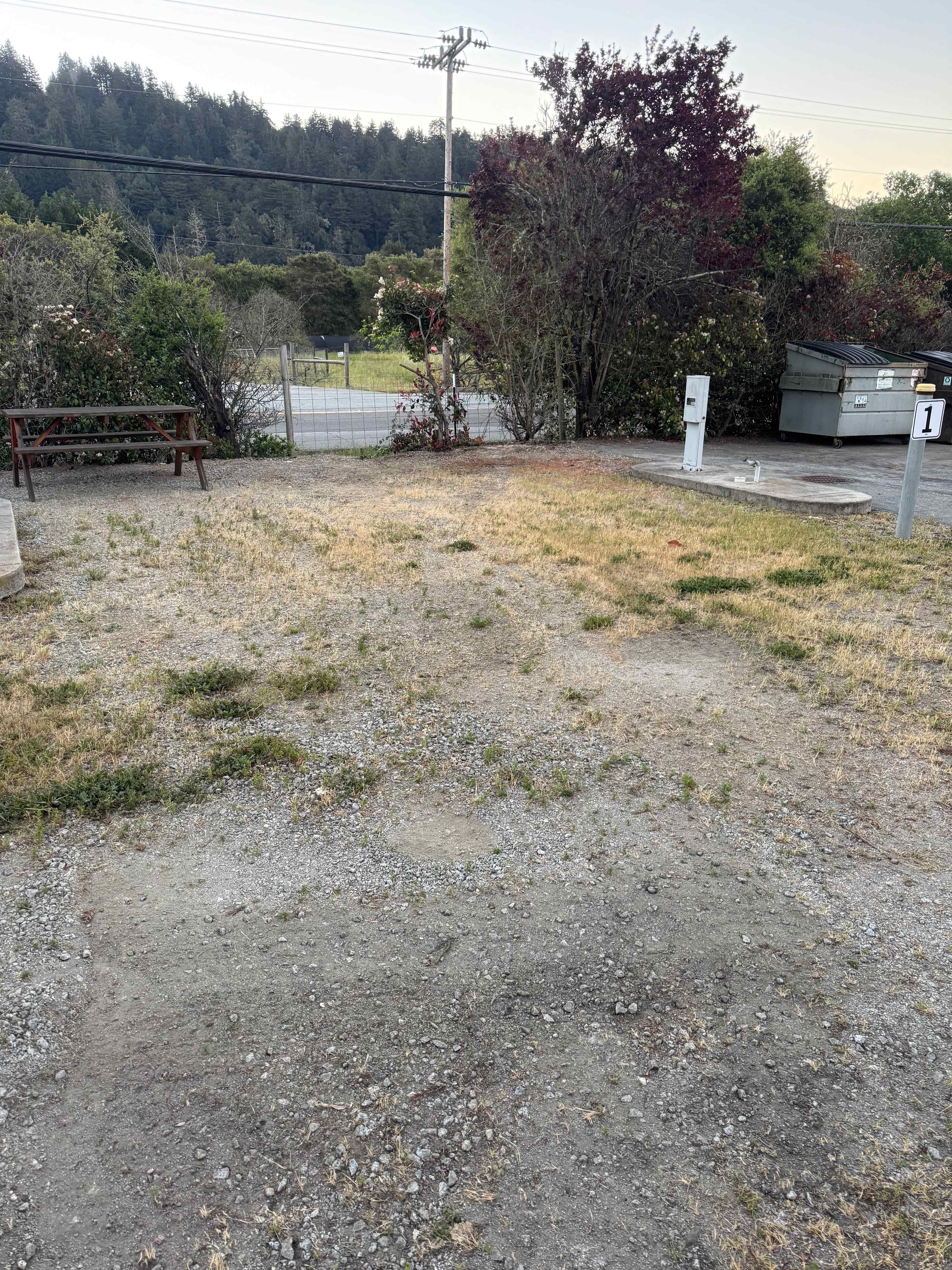 Picture of the site