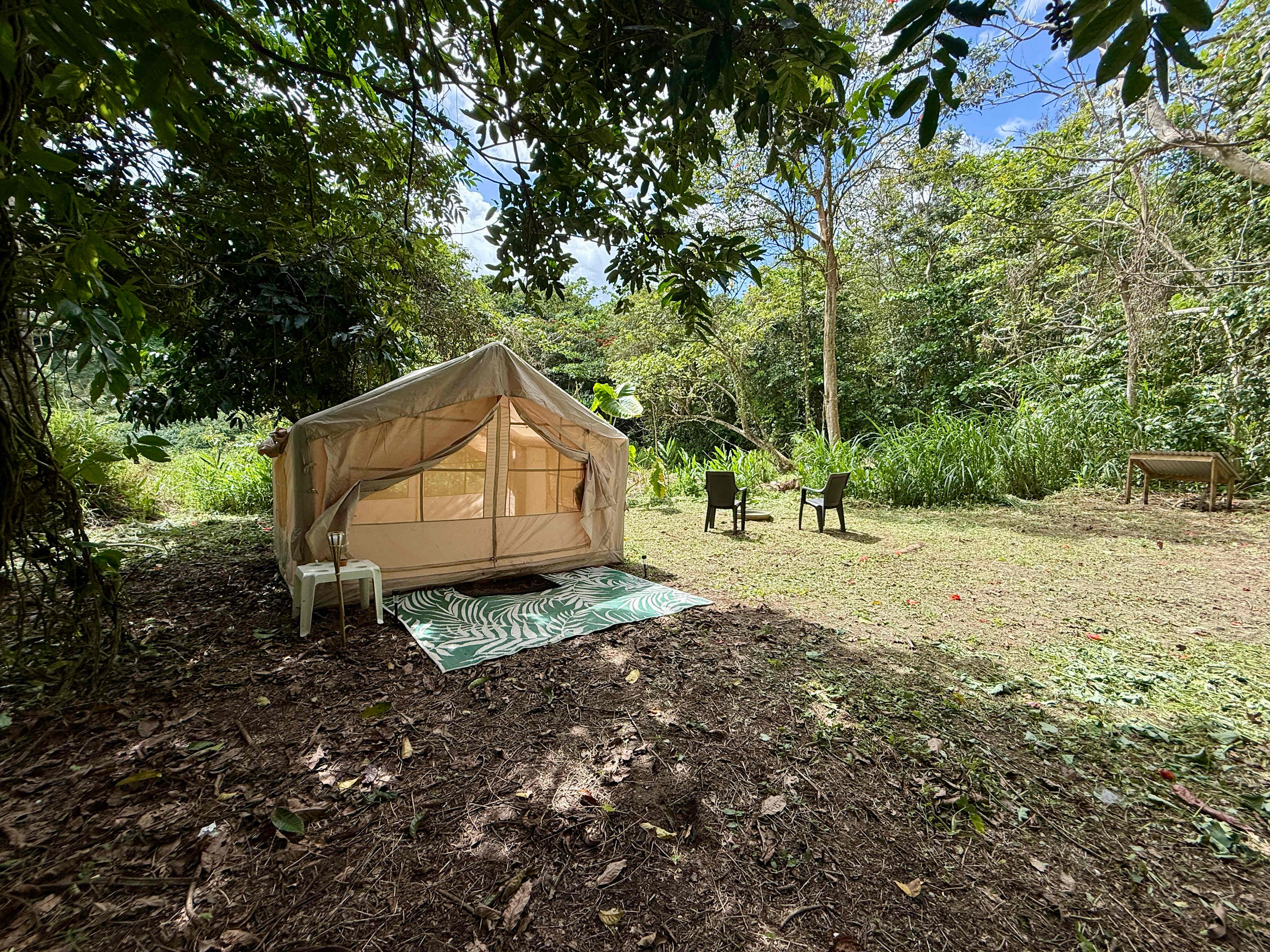 Picture of the site