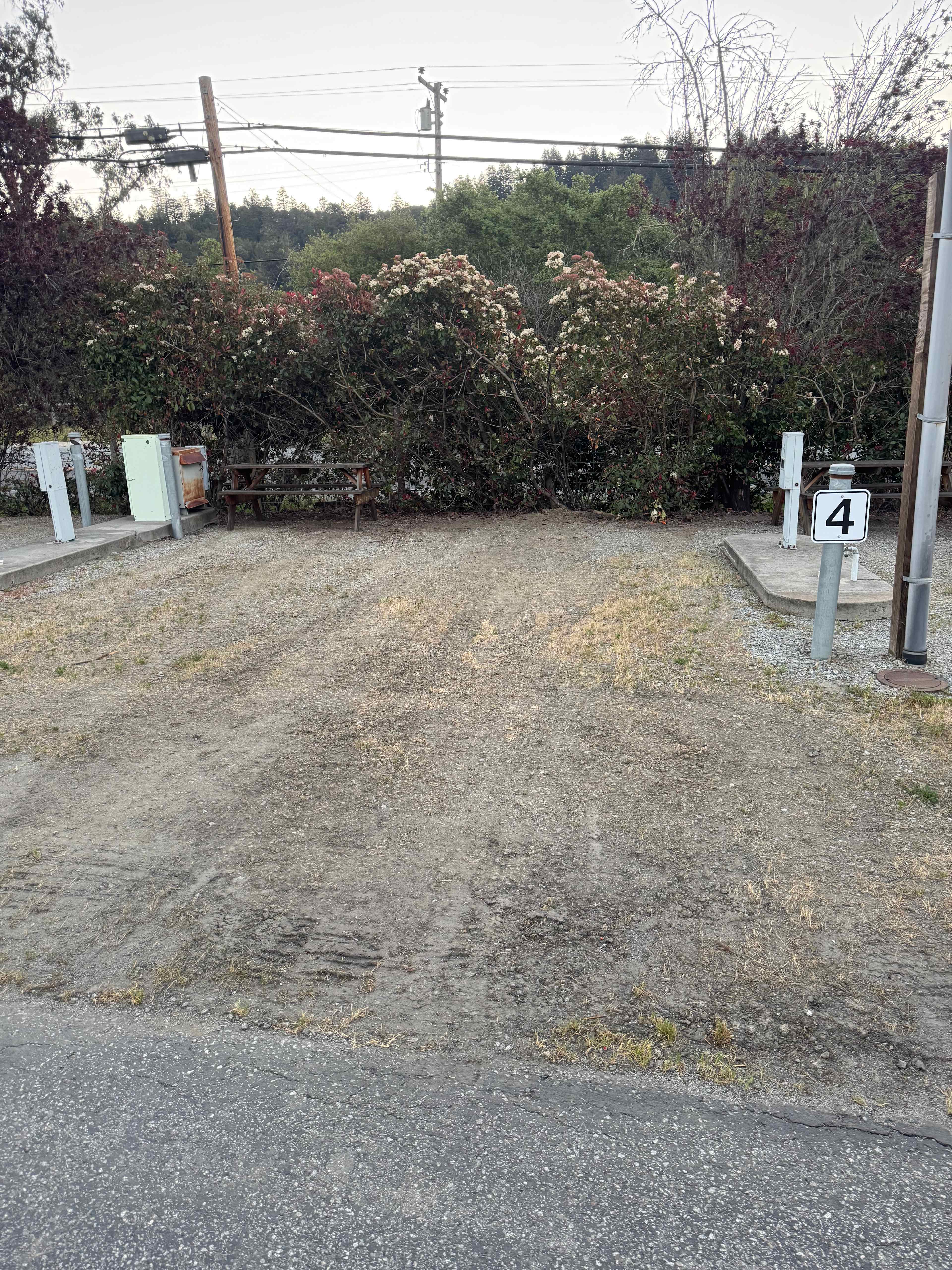 Picture of the site