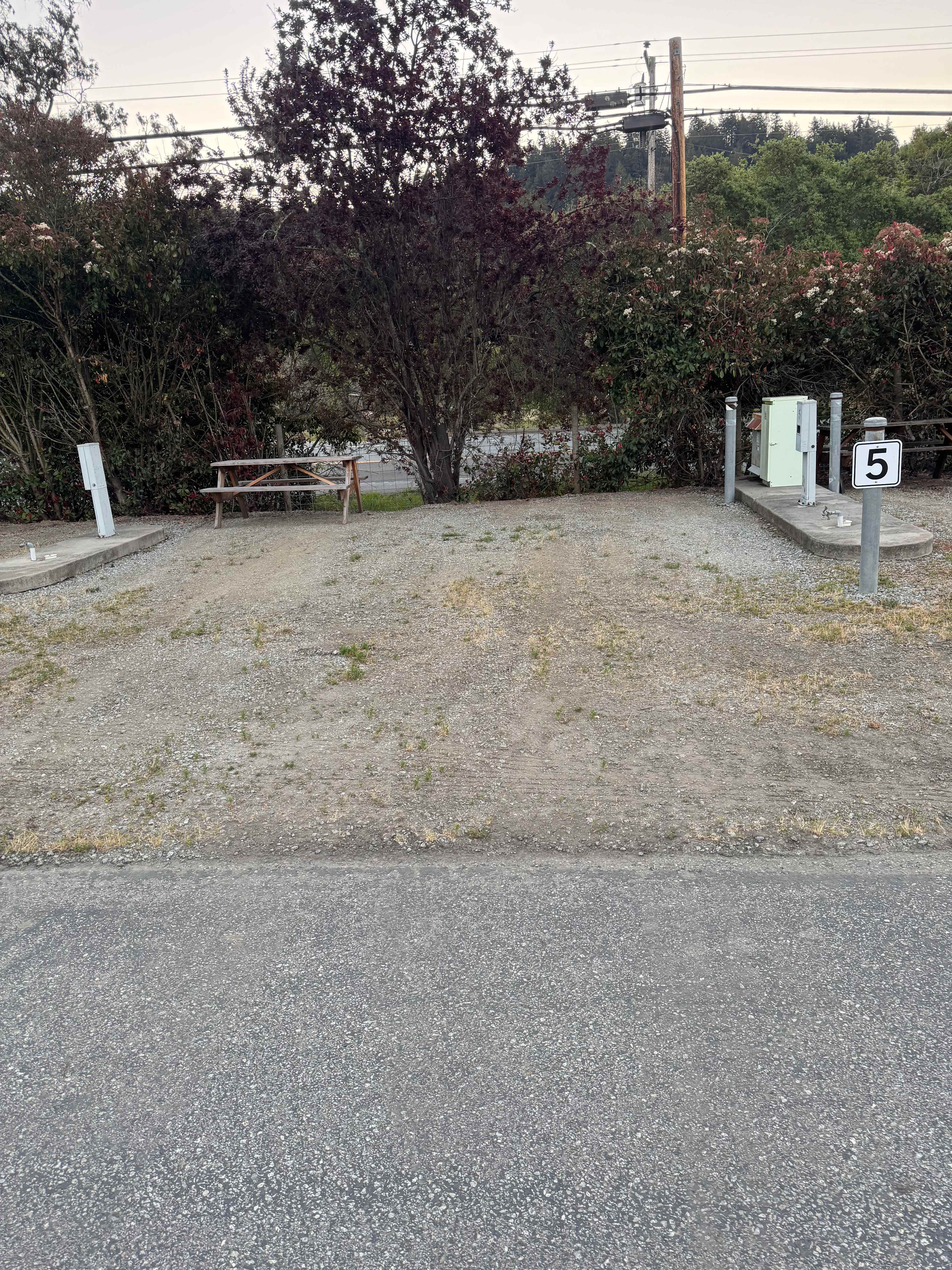 Picture of the site