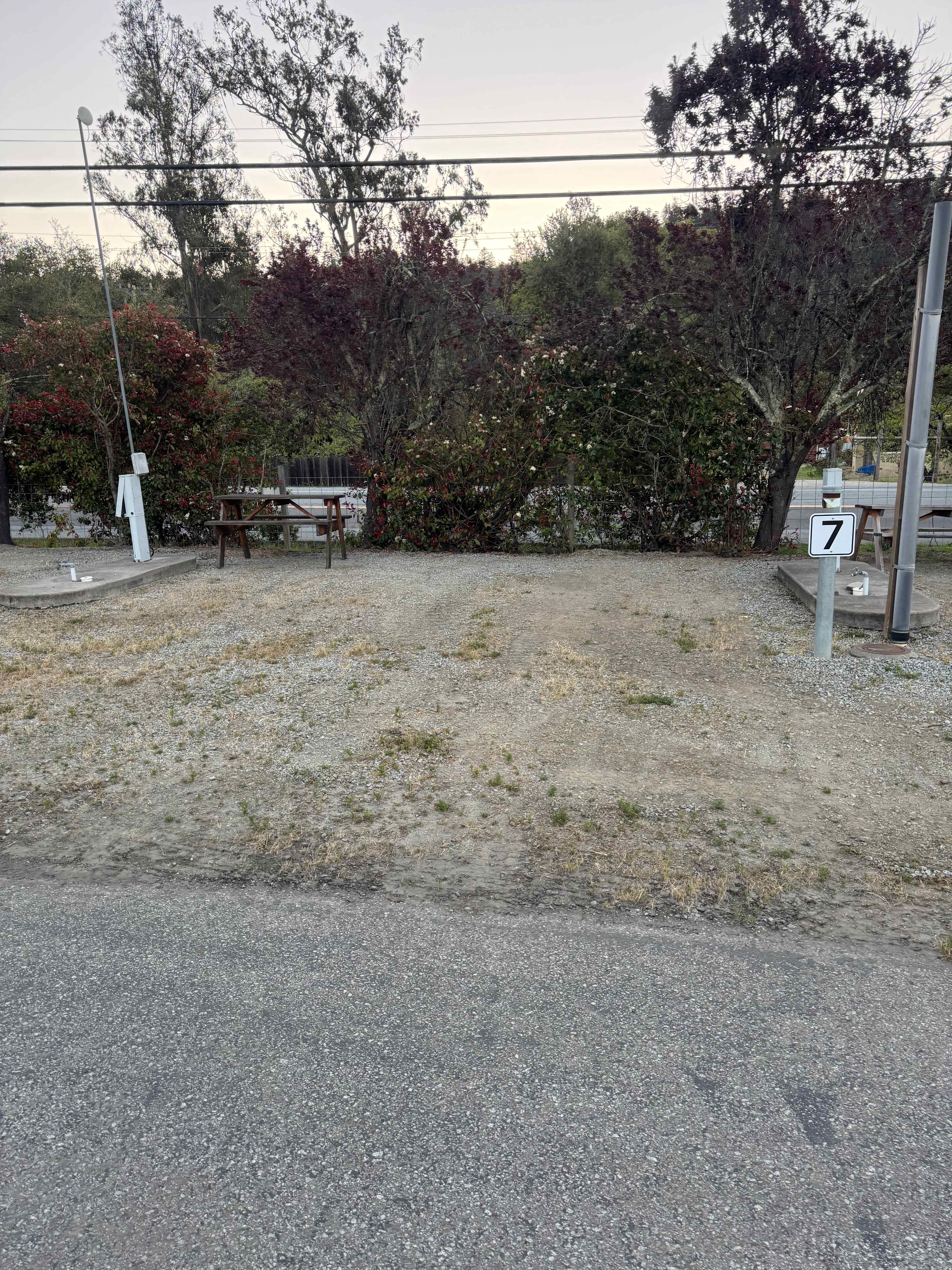 Picture of the site