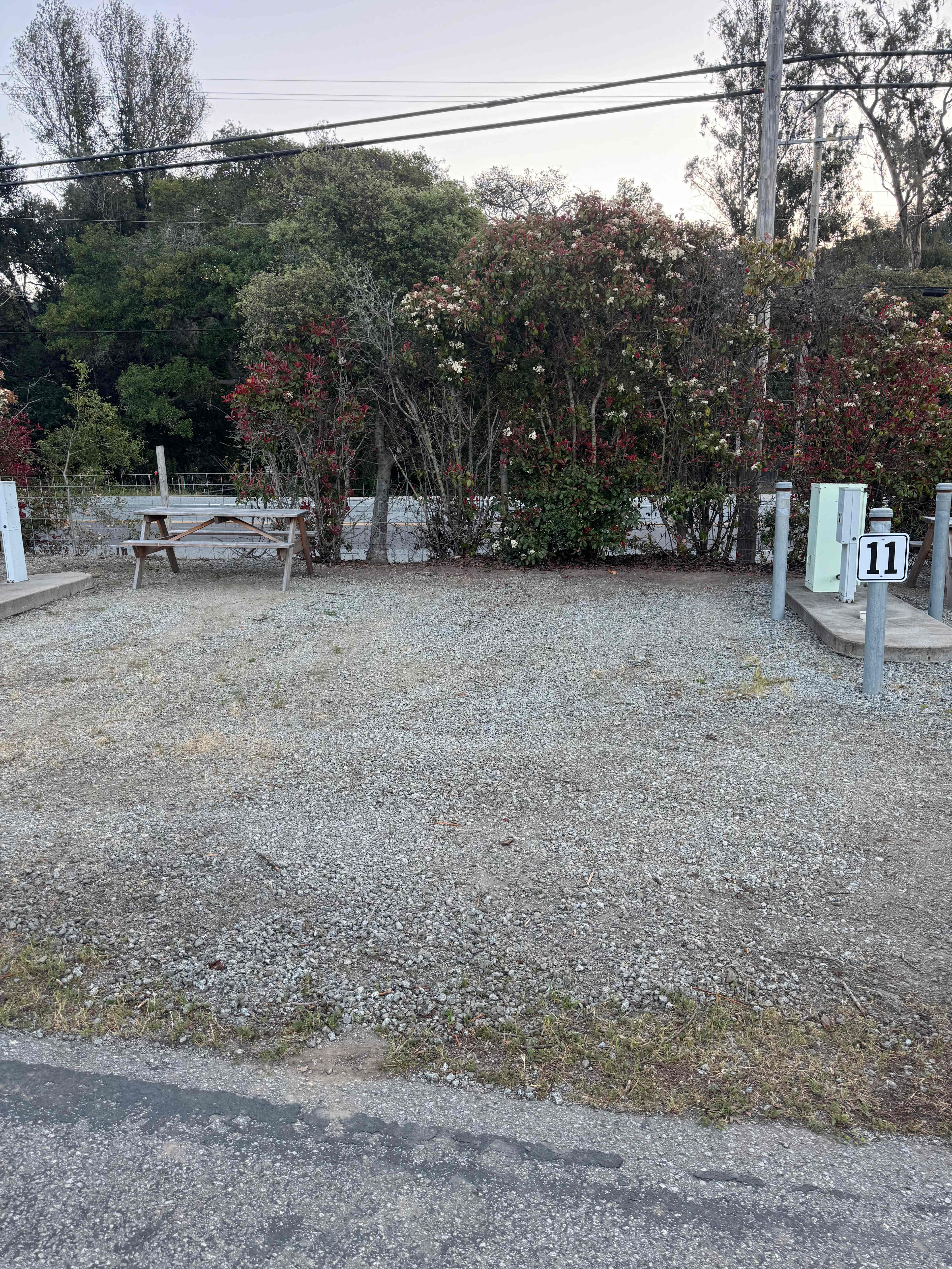 Picture of the site