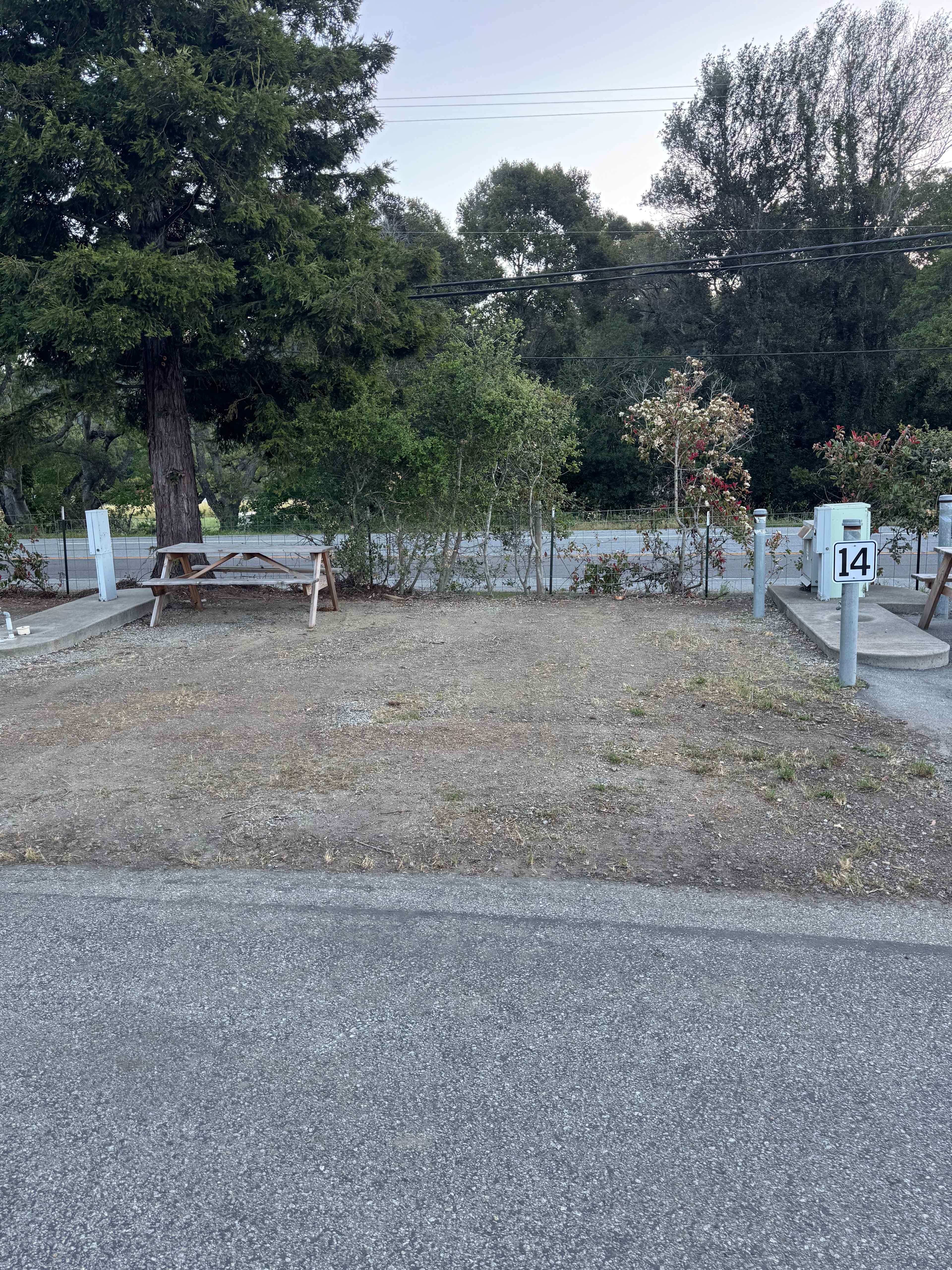 Picture of the site