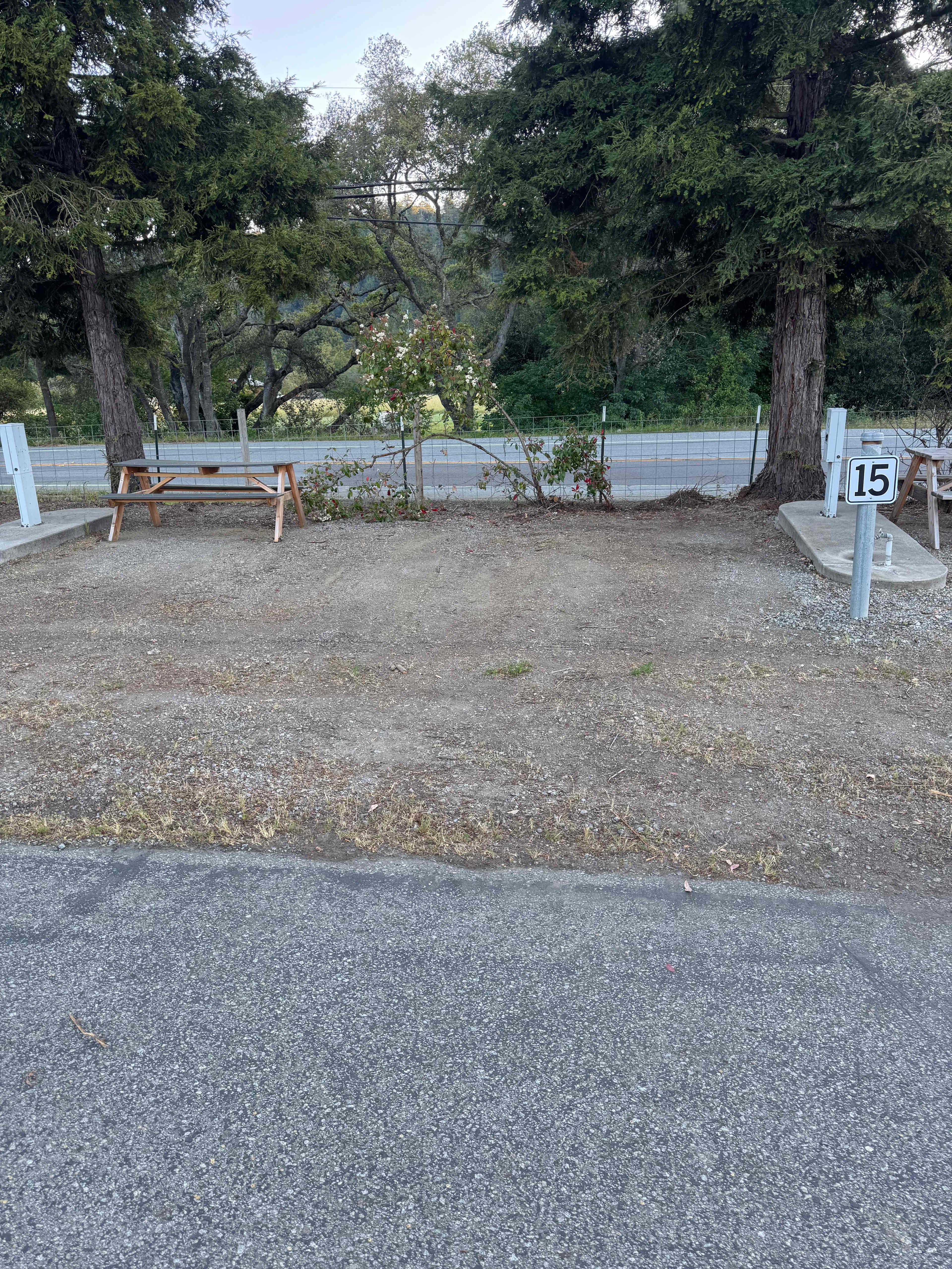 Picture of the site