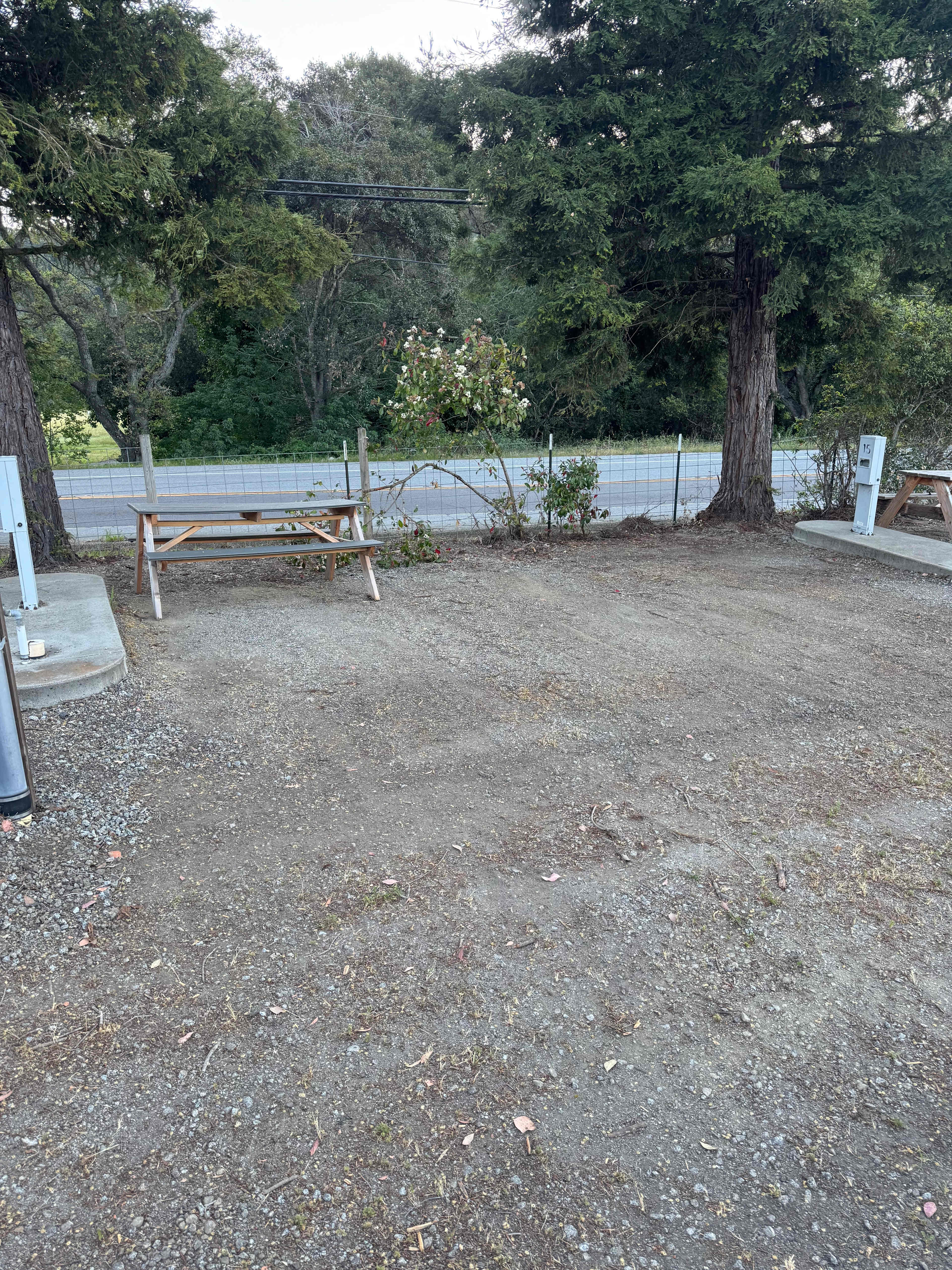 Picture of the site