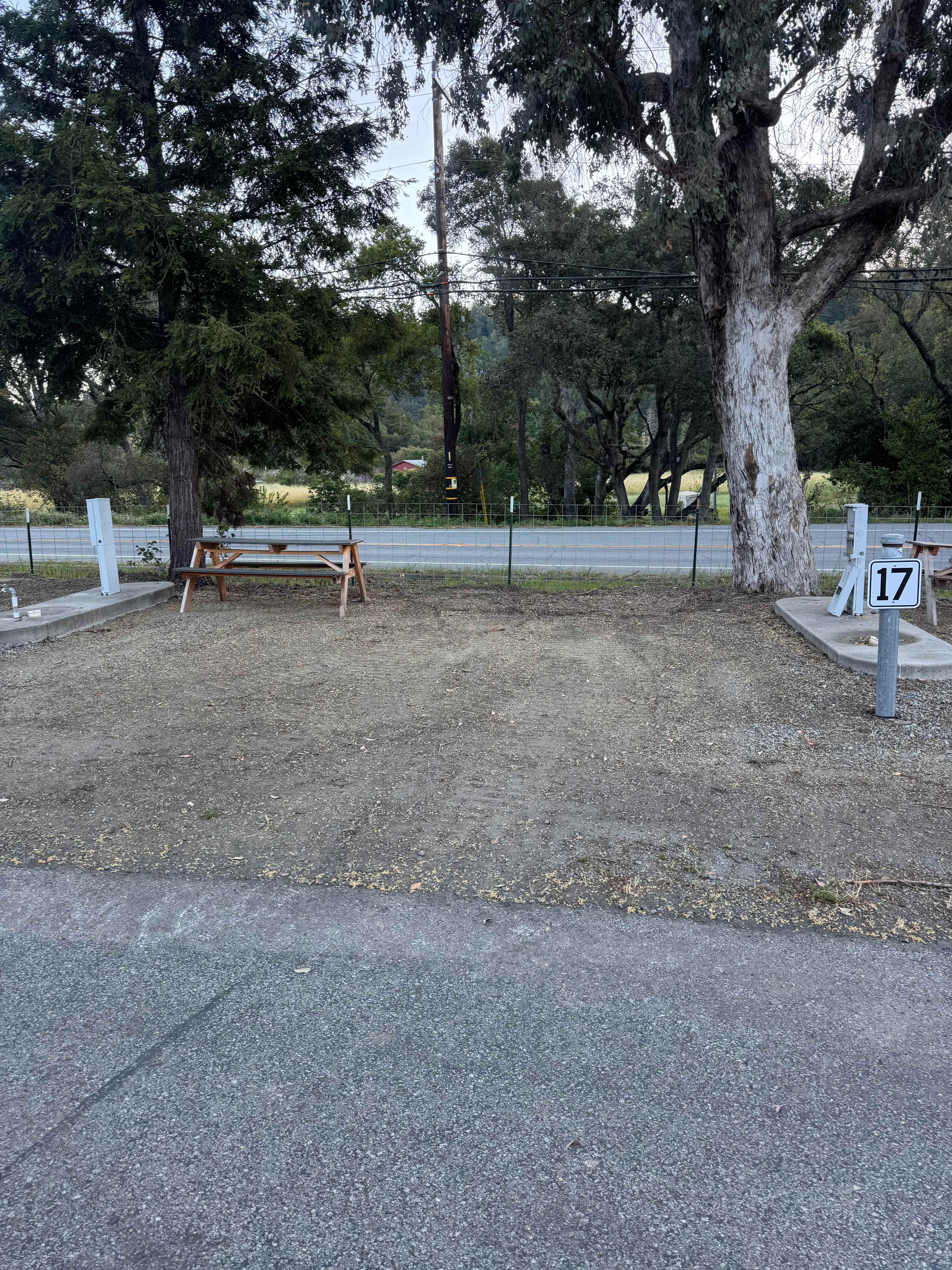 Picture of the site