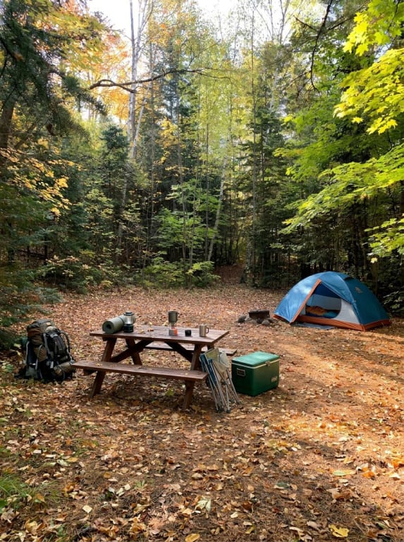 Picture of the site