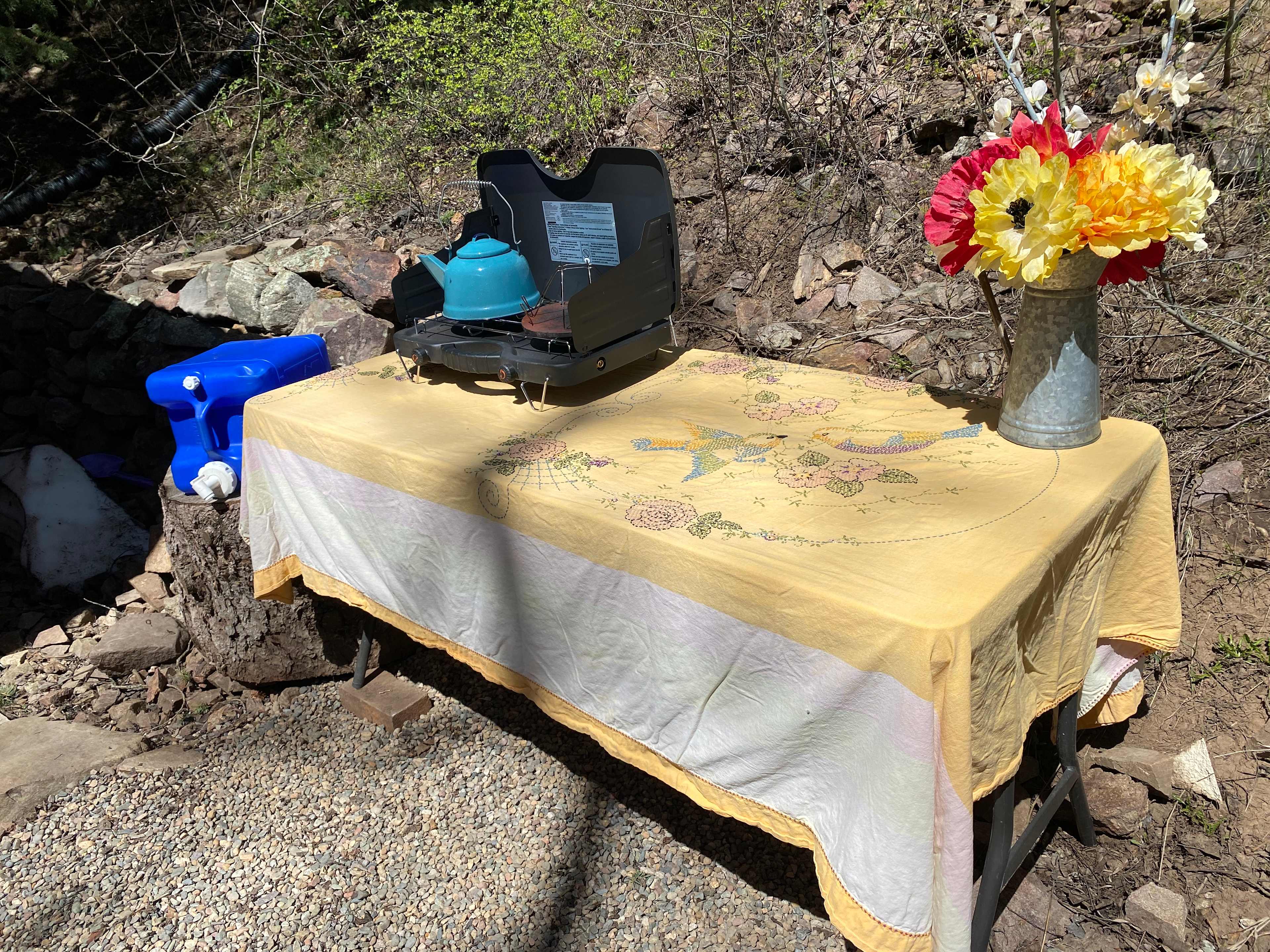 Picture of the site