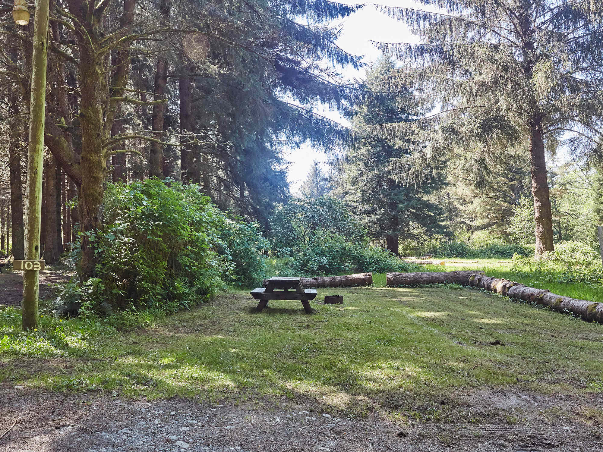Picture of the site