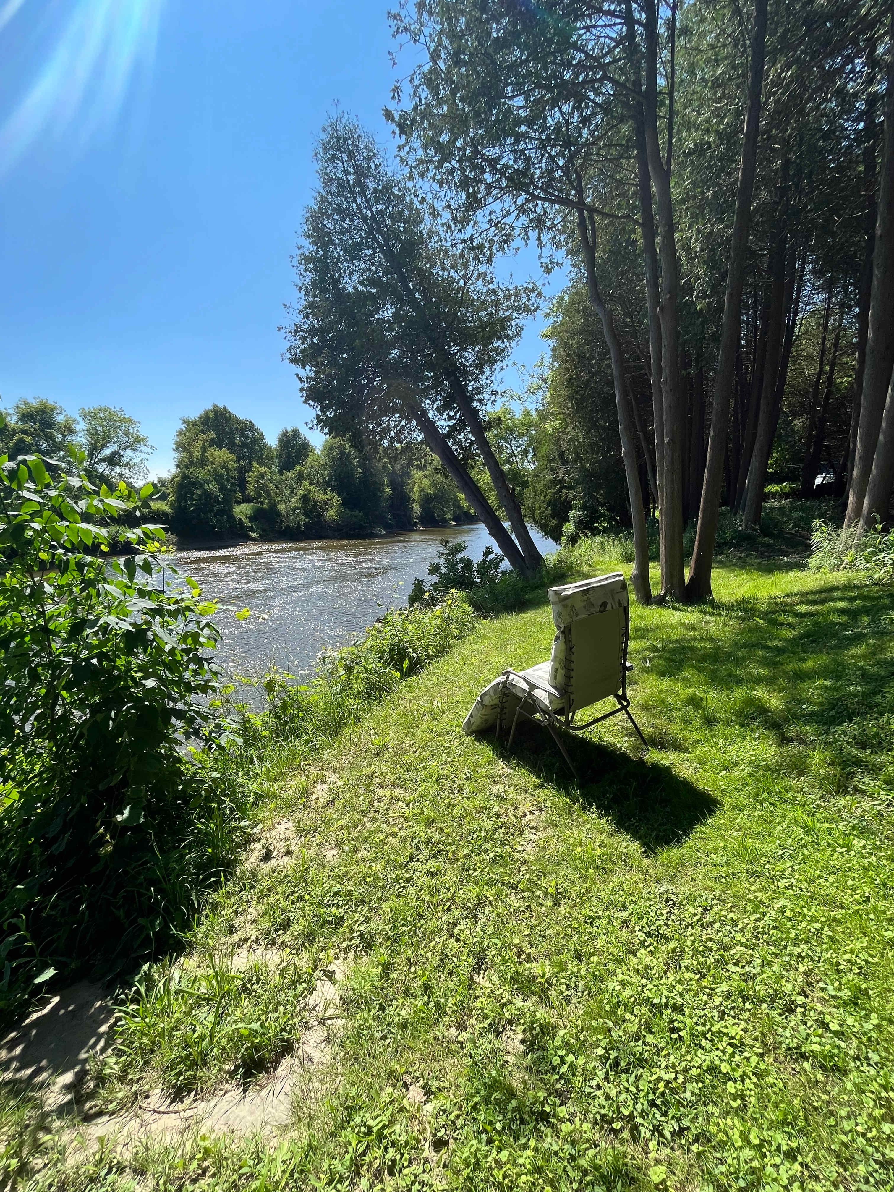 Picture of the site