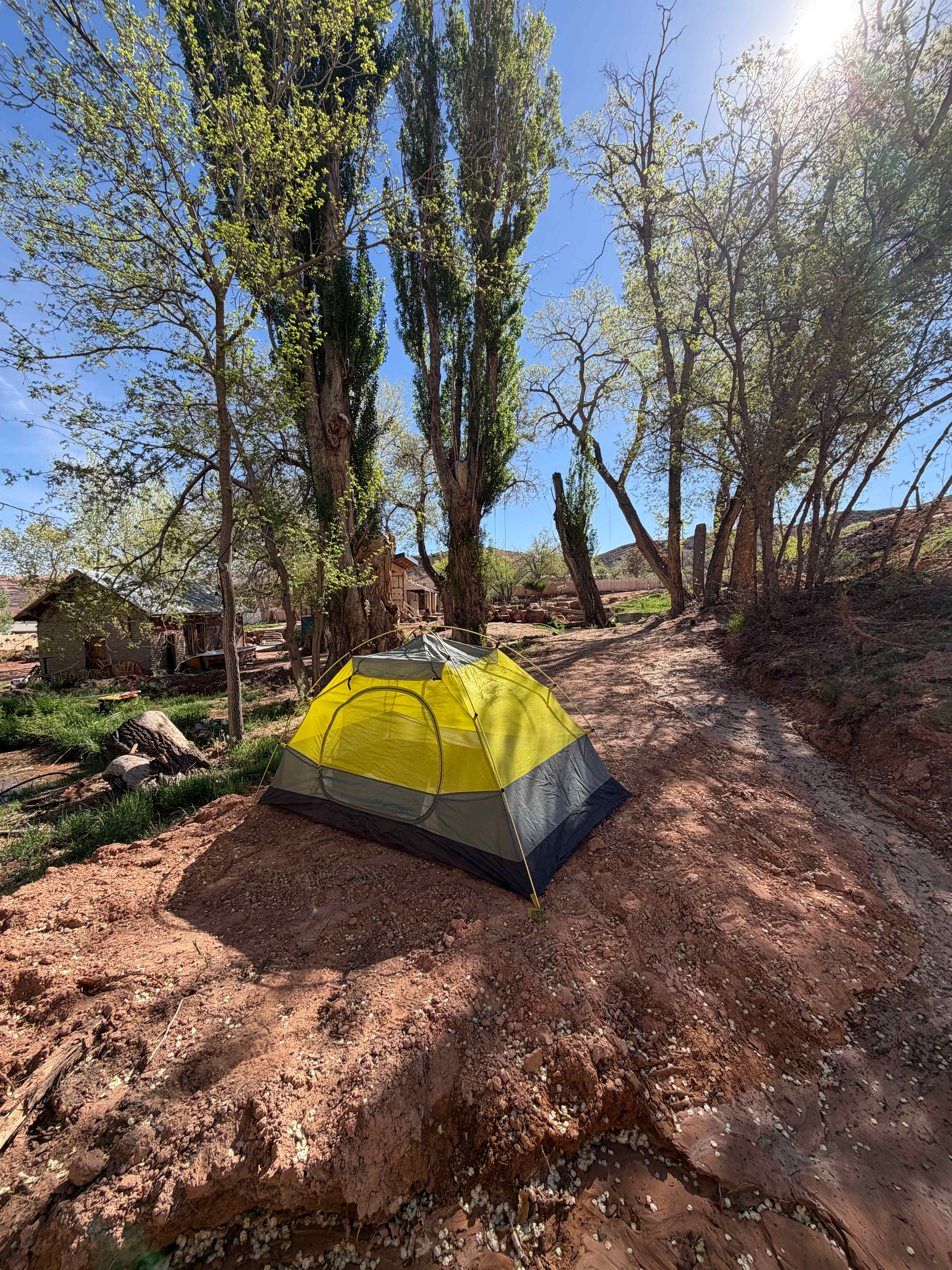 Picture of the site