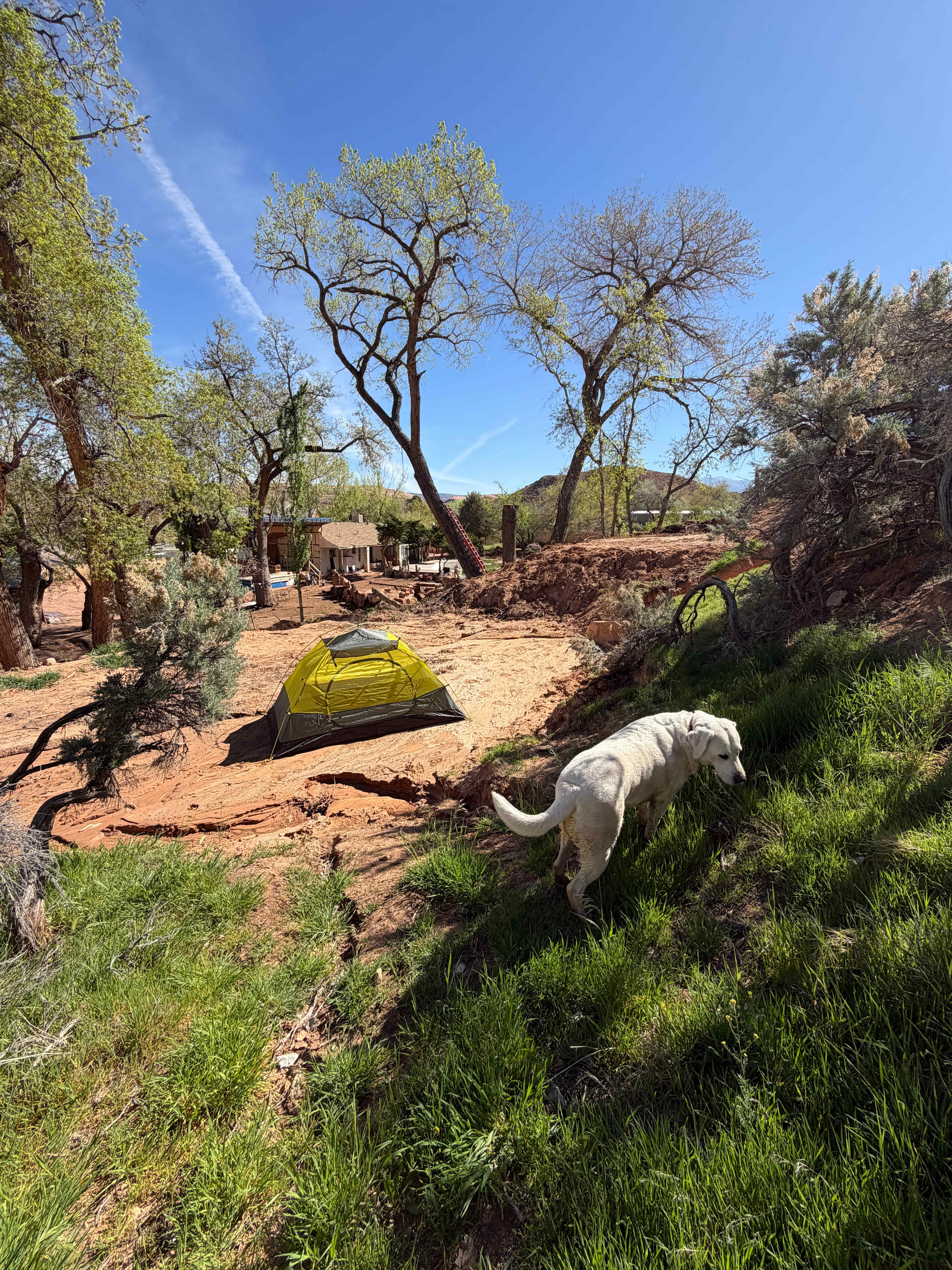 Picture of the site