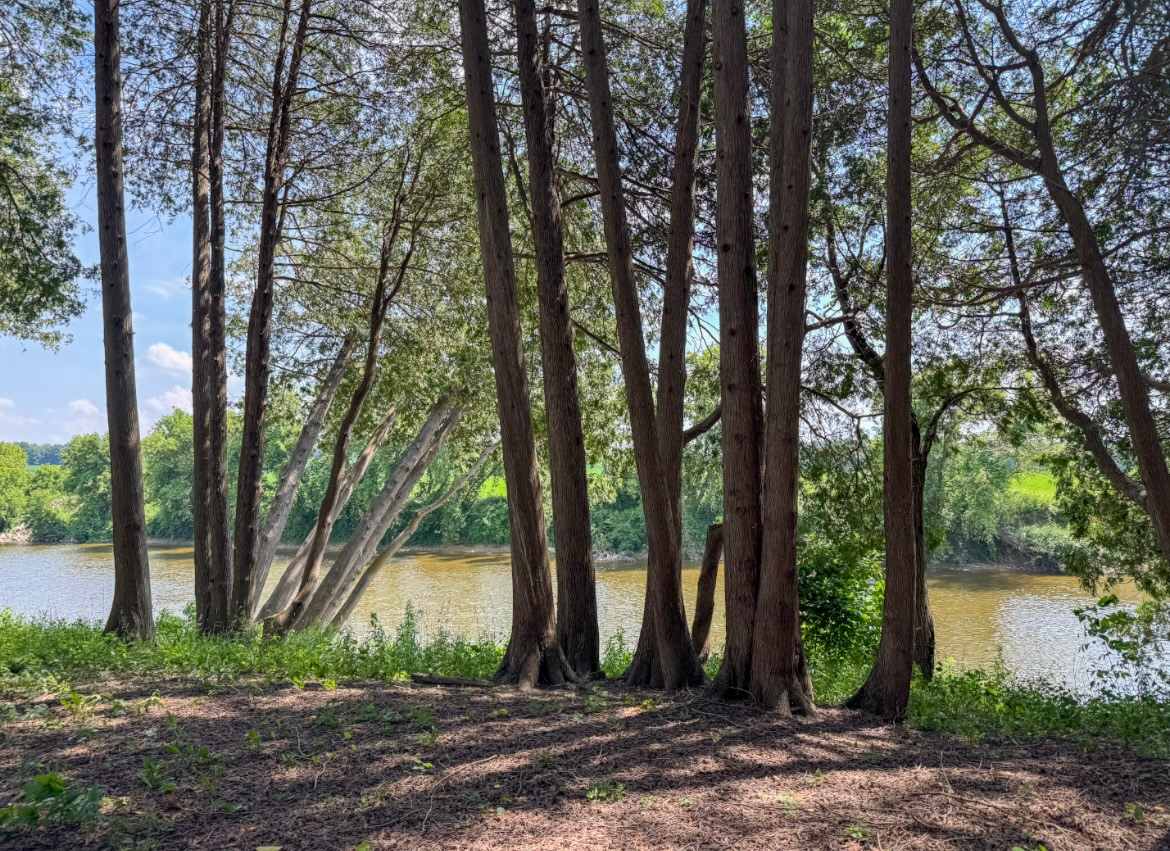 Picture of the site