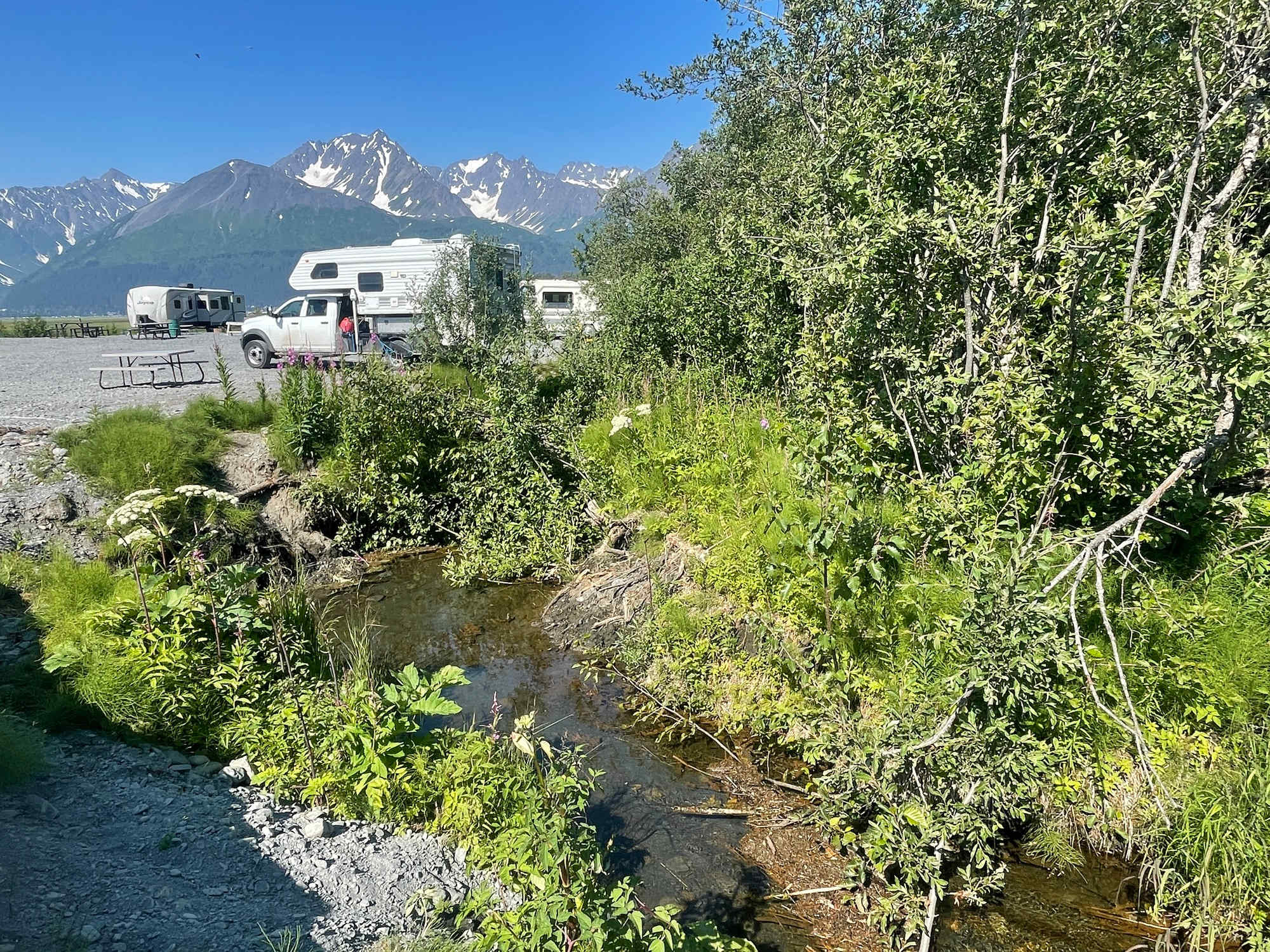 Picture of the site