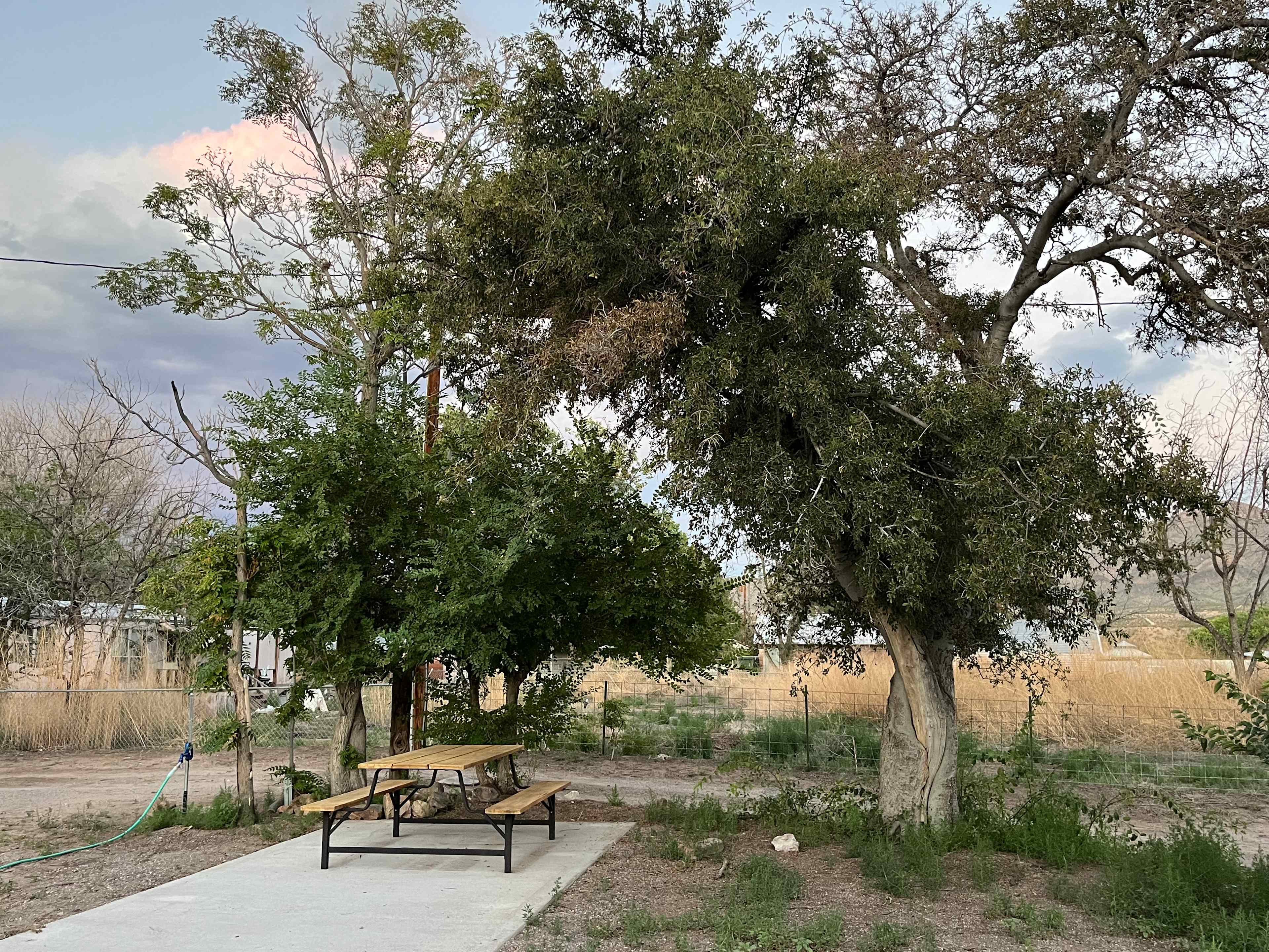 Picture of the site