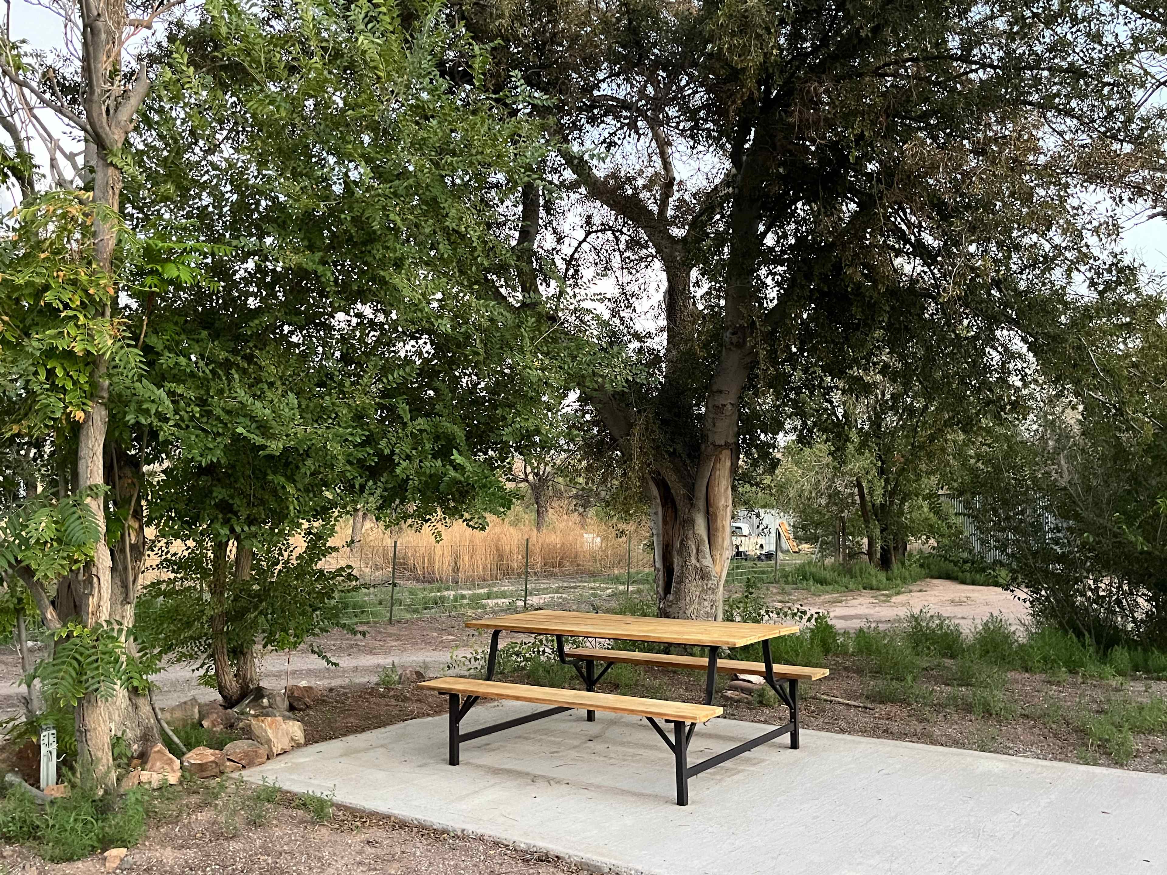 Picture of the site