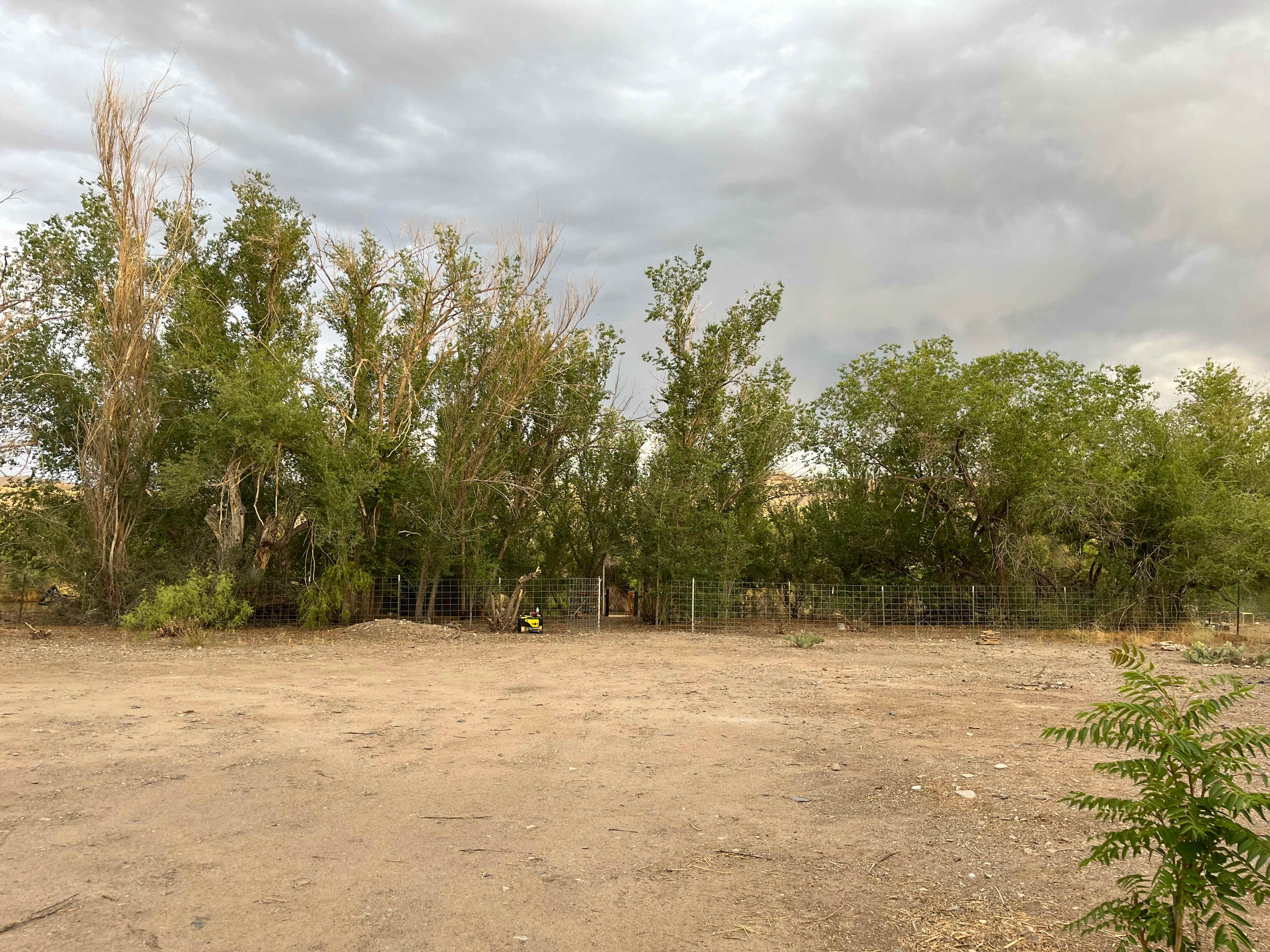 Picture of the site