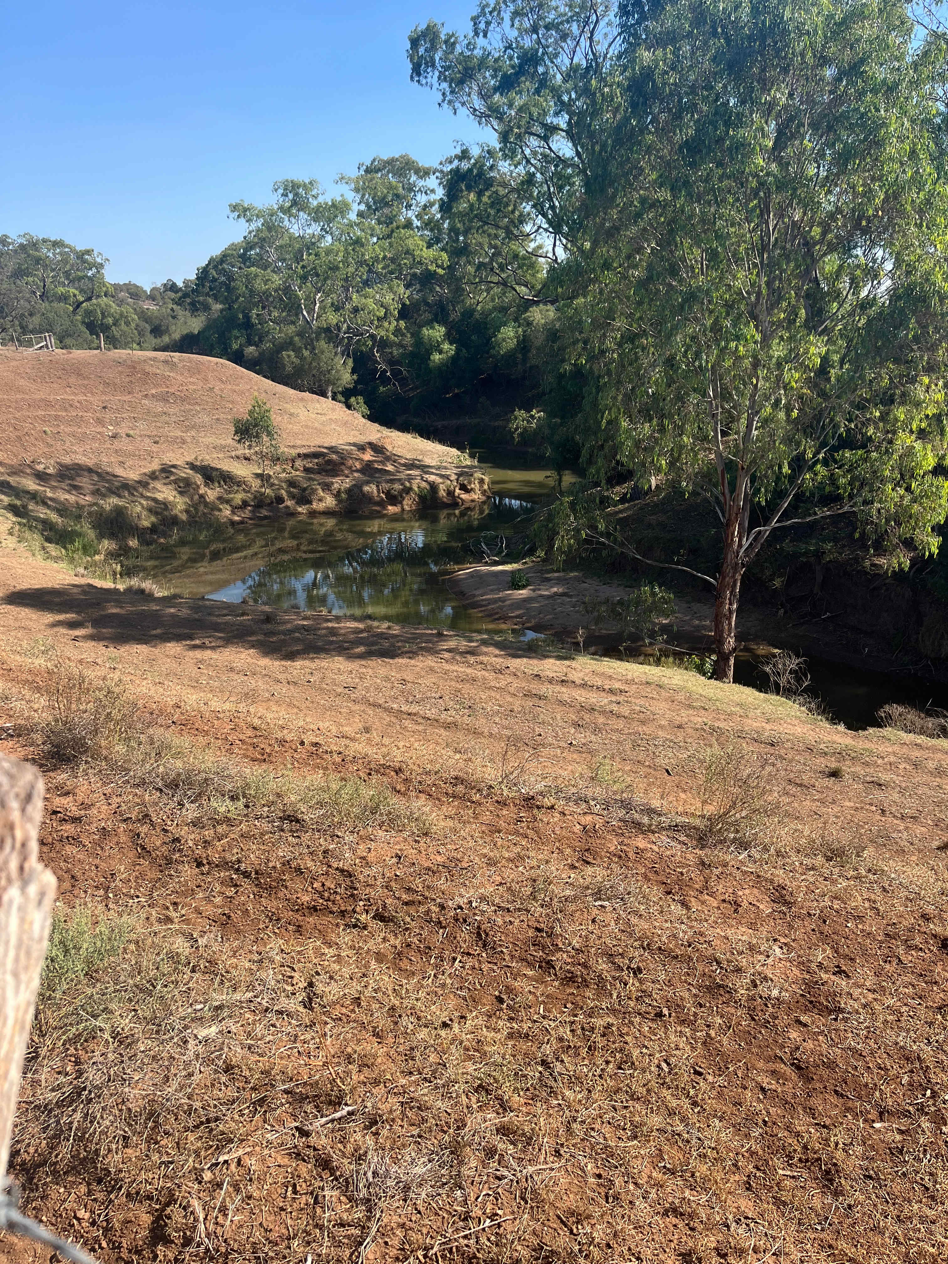 Picture of the site