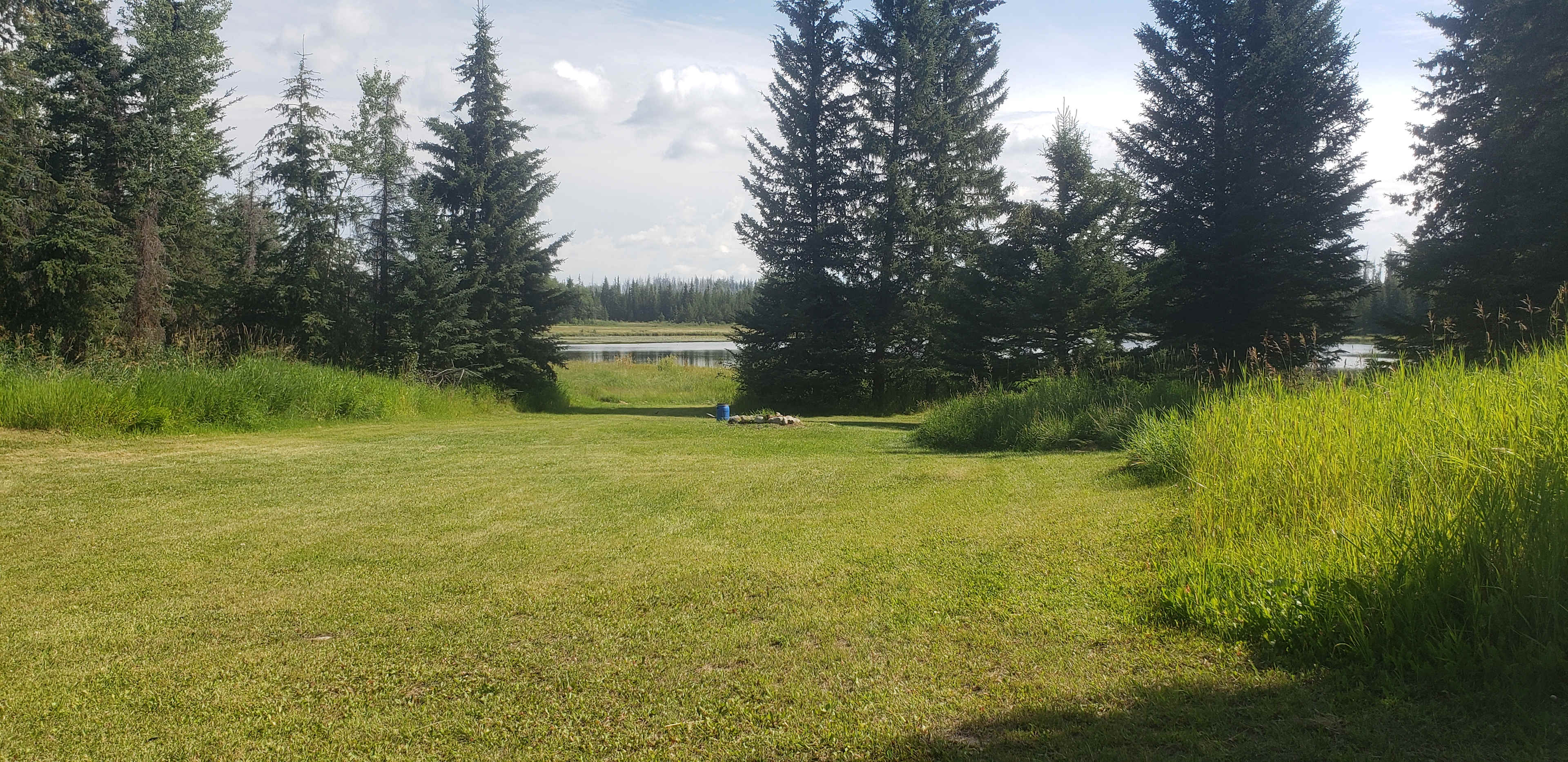 Picture of the site