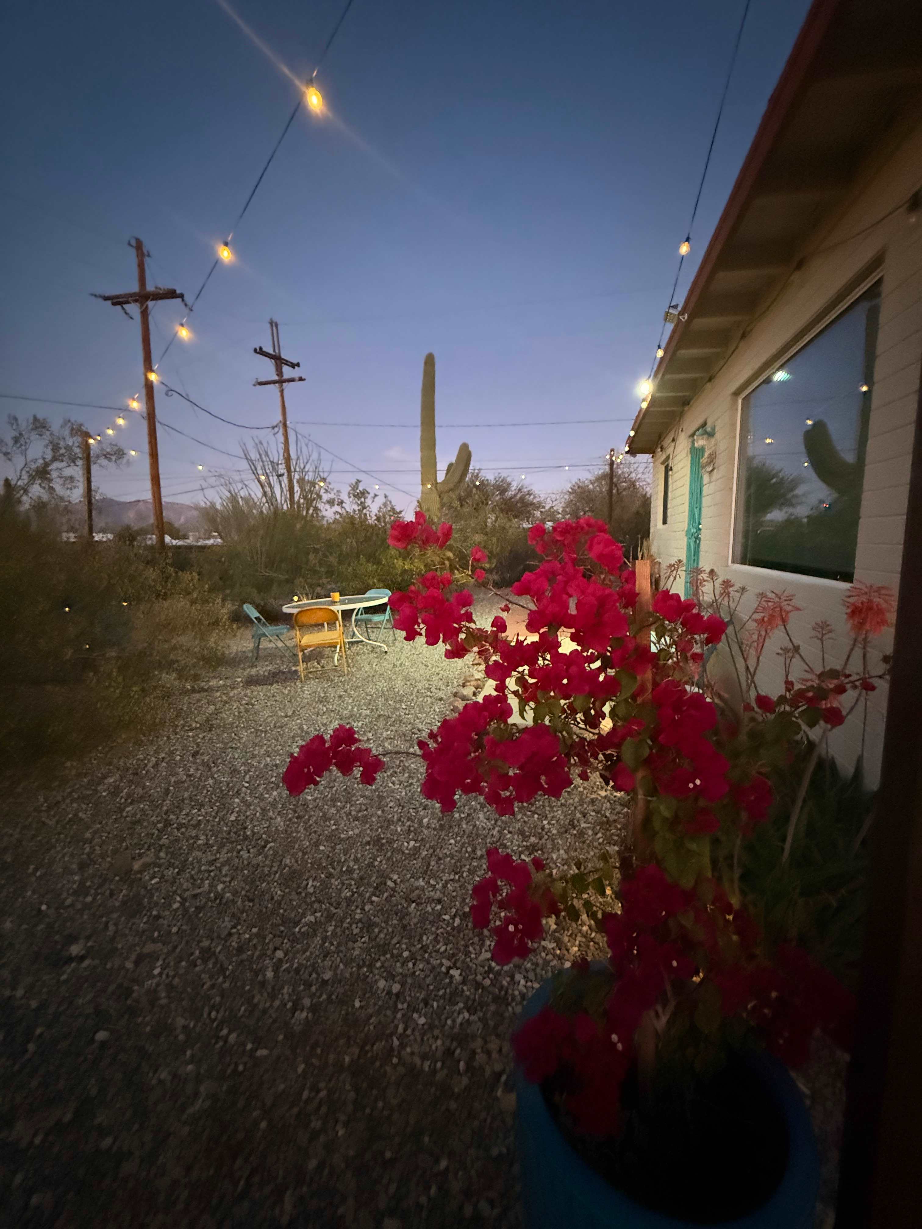 Picture of the site