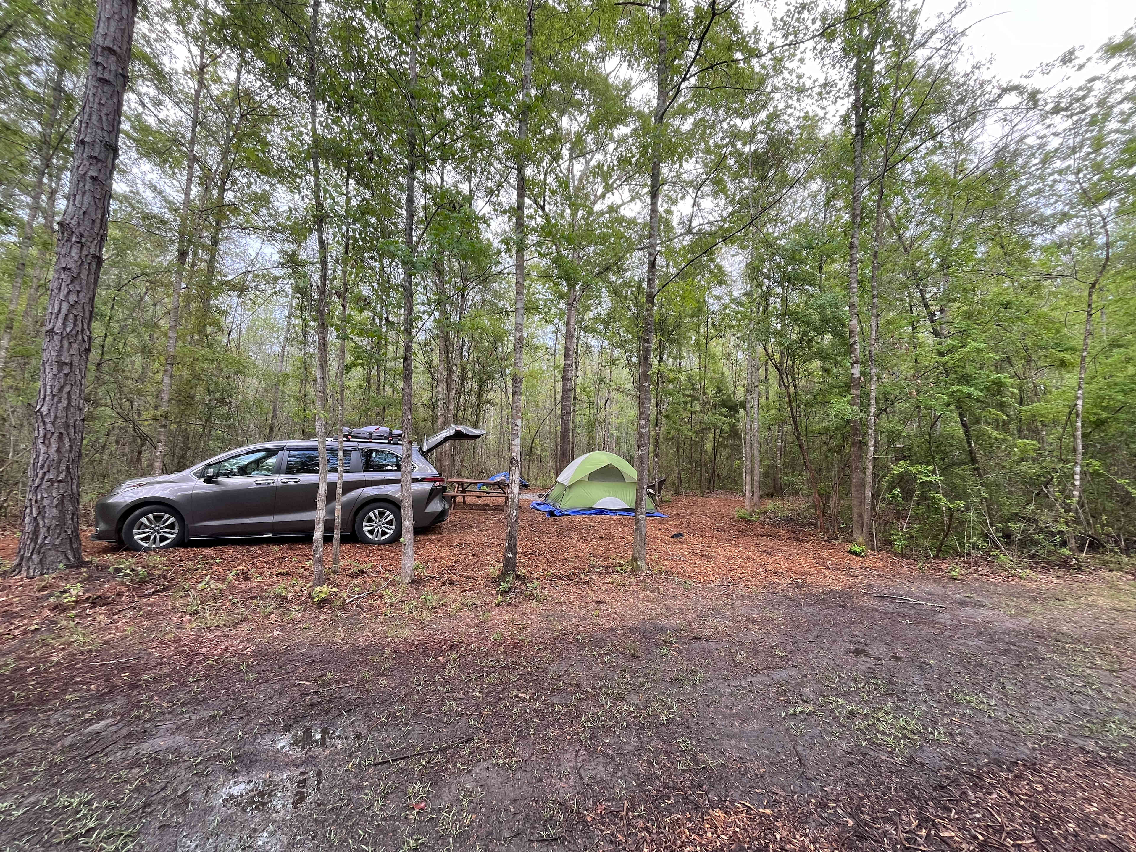 Picture of the site