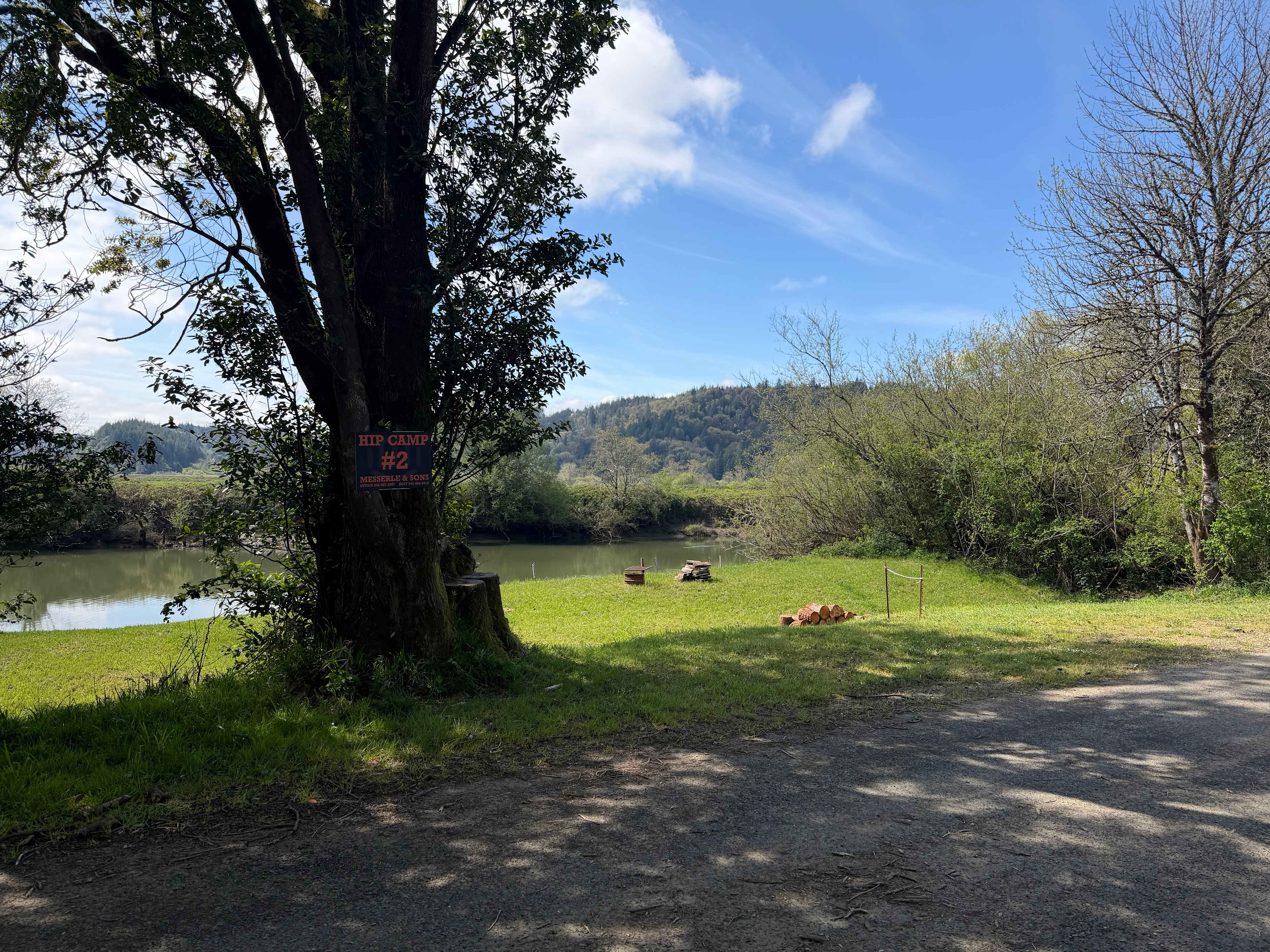 Picture of the site