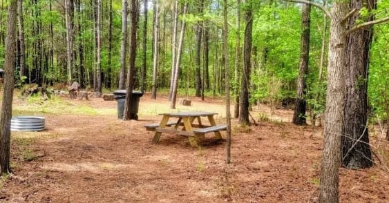 Picture of the site