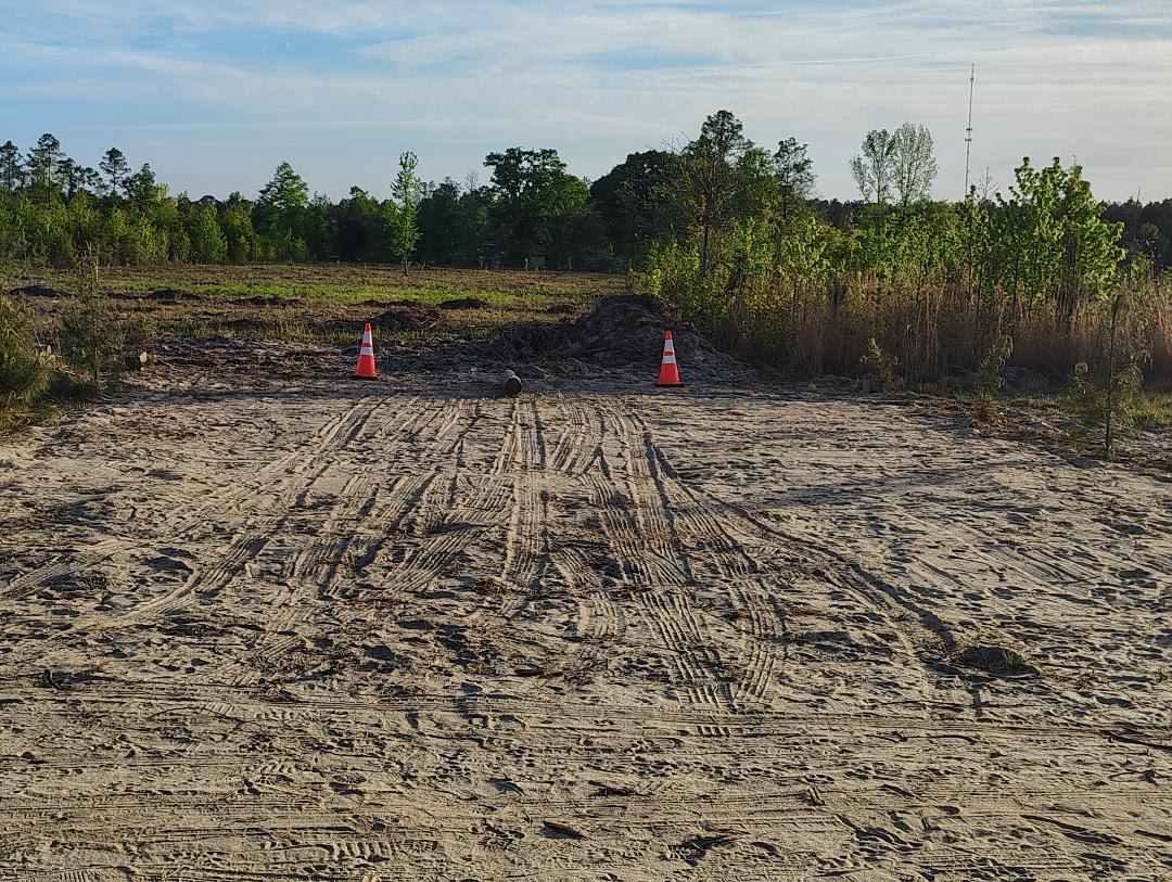 Picture of the site