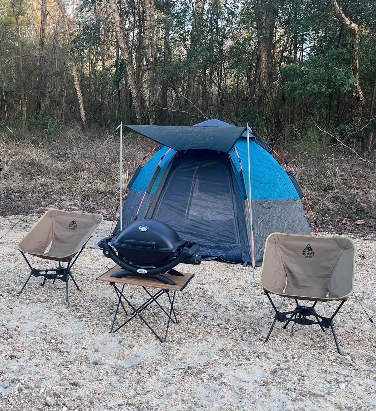 Picture of the site