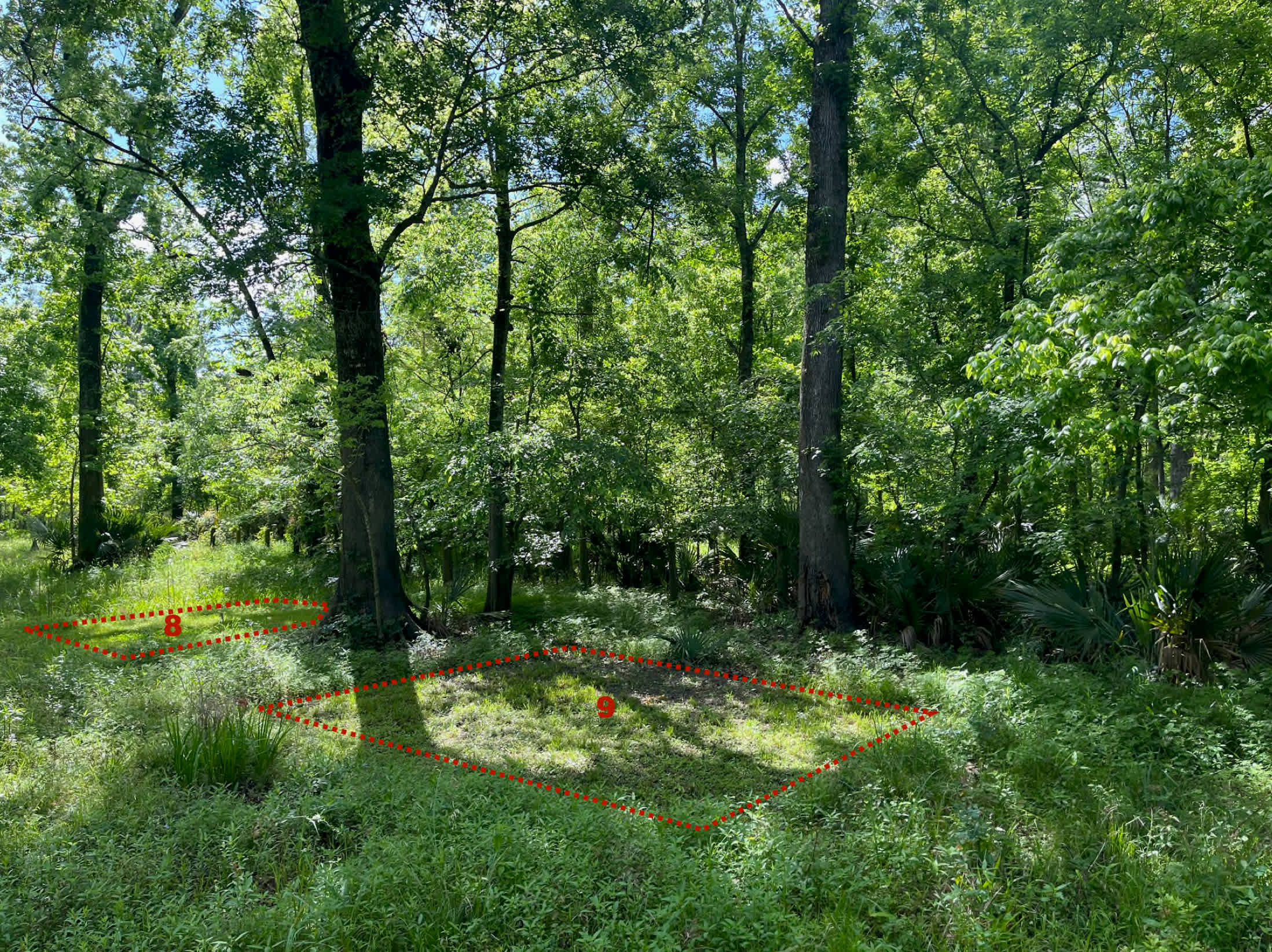 Picture of the site