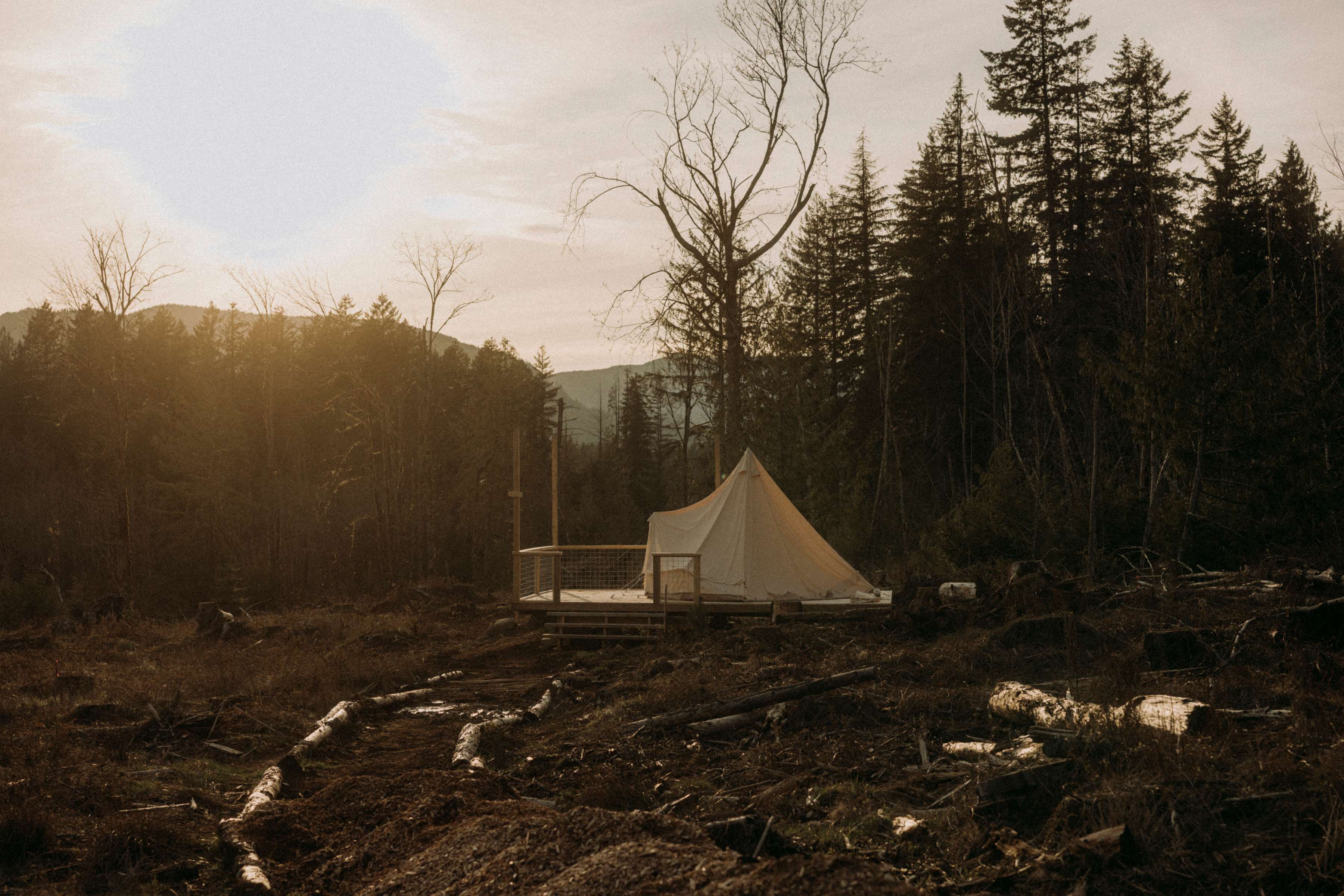 Picture of the site