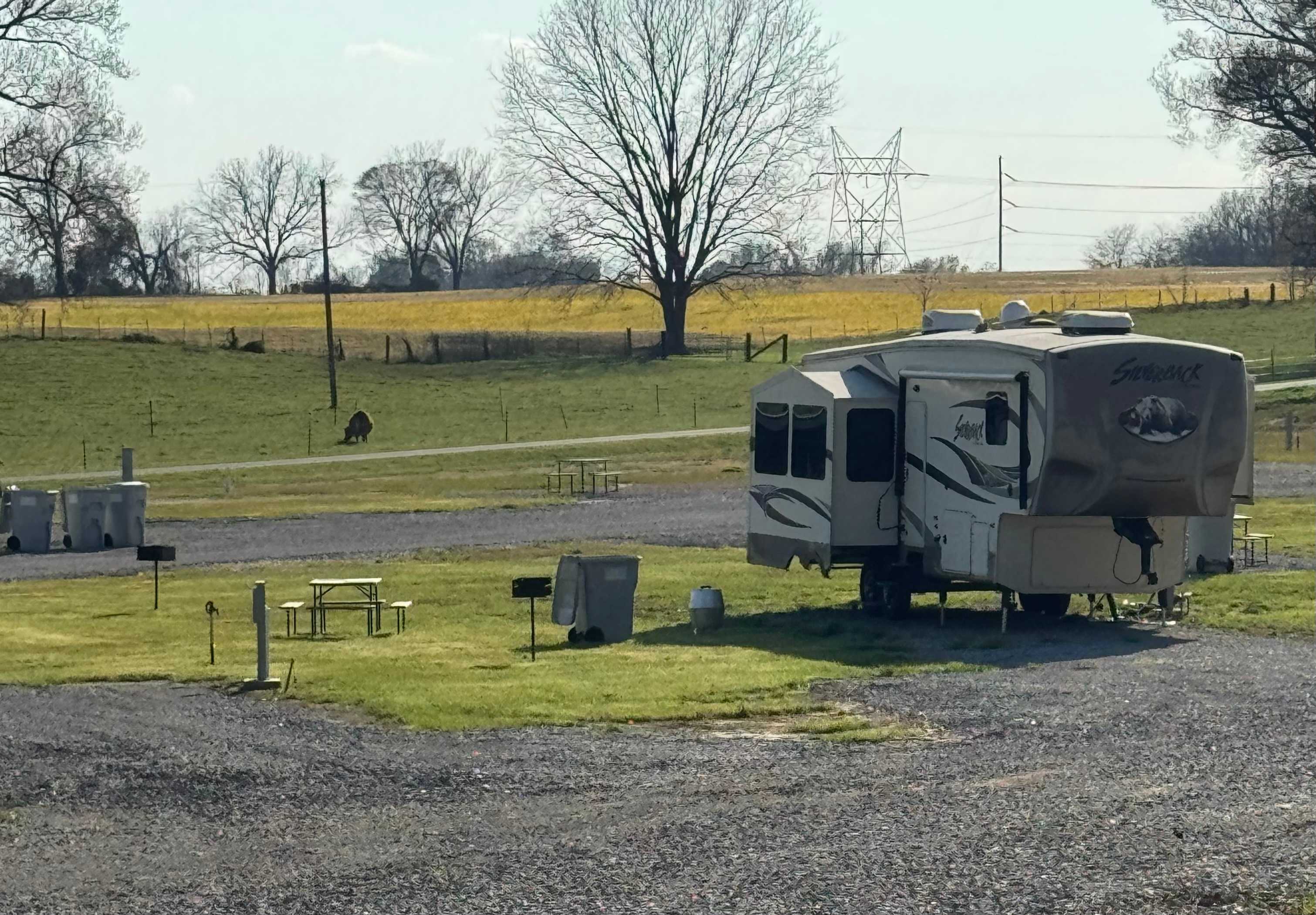 Picture of the site