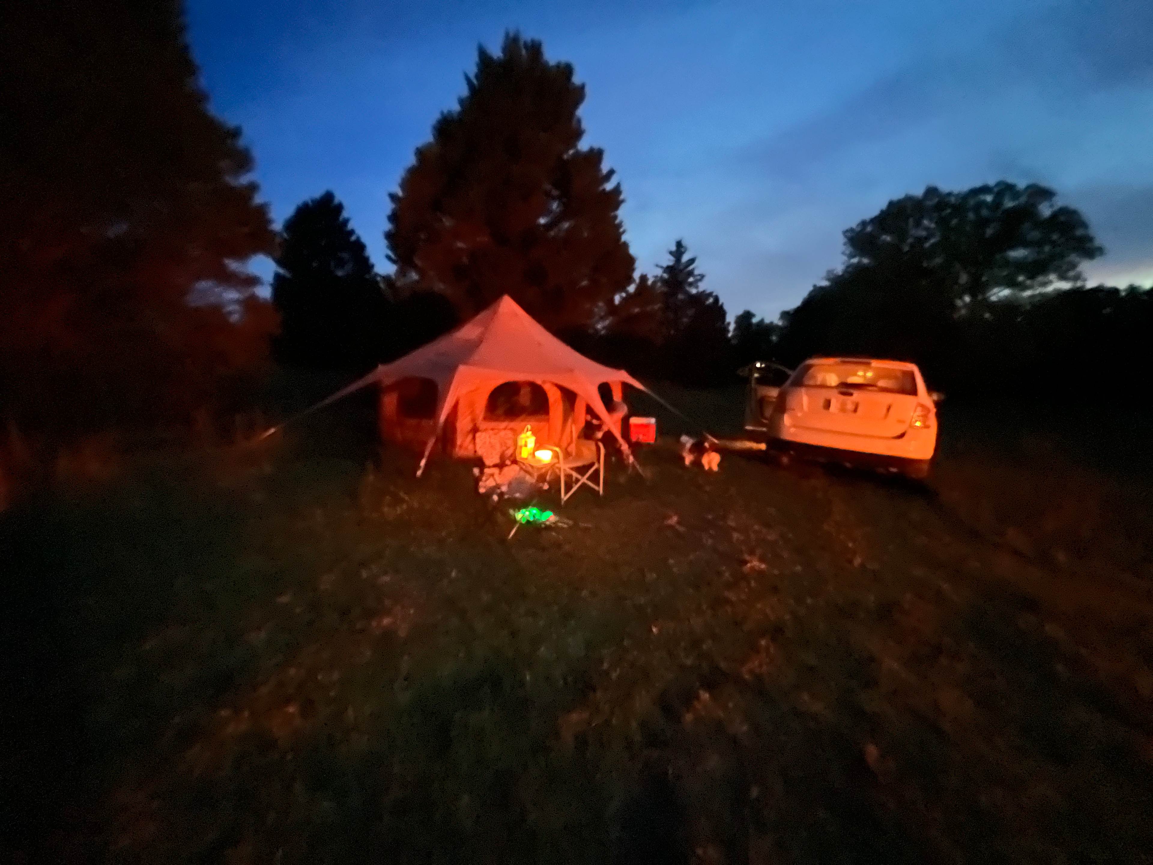 Picture of the site