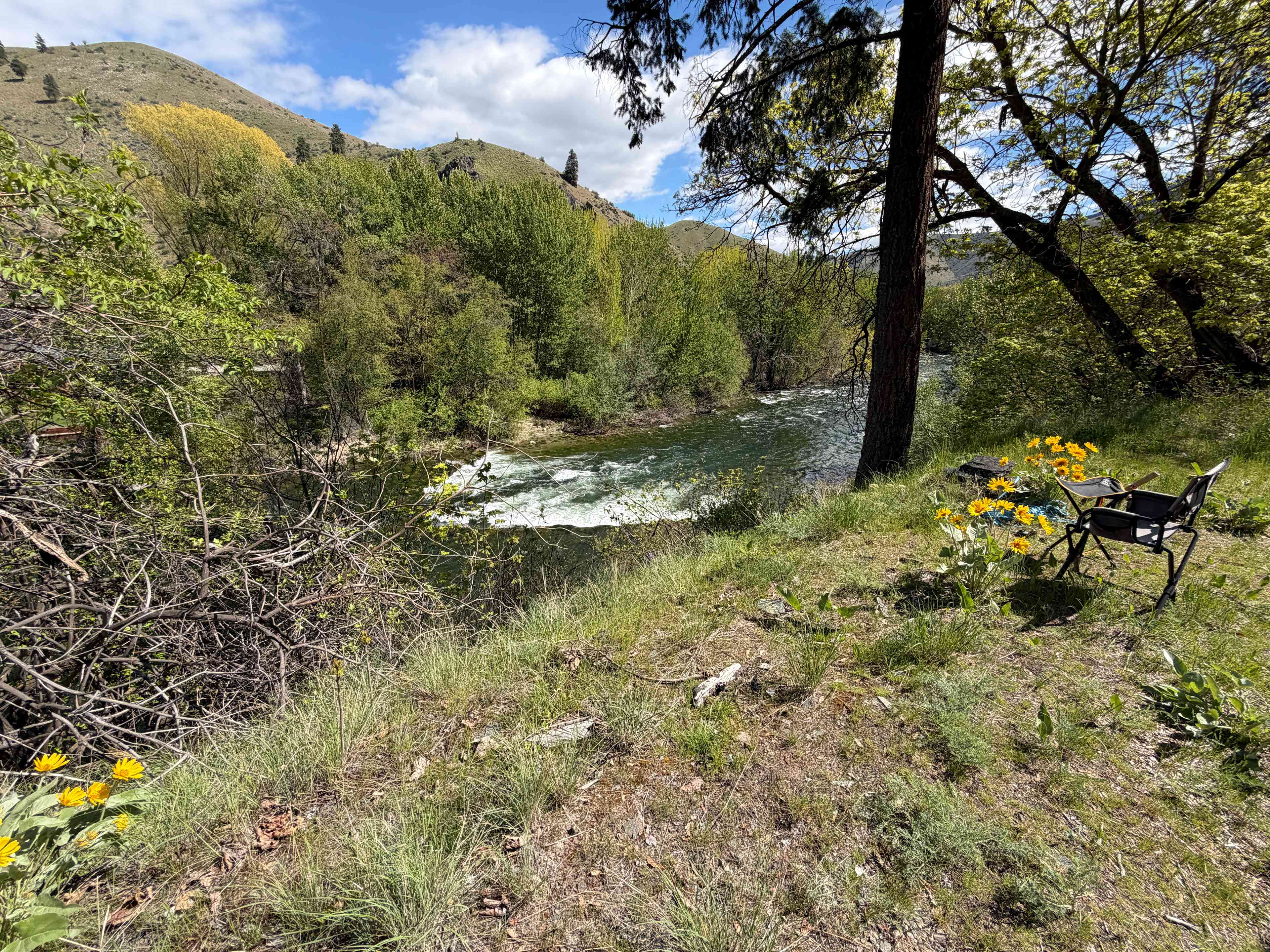 Picture of the site